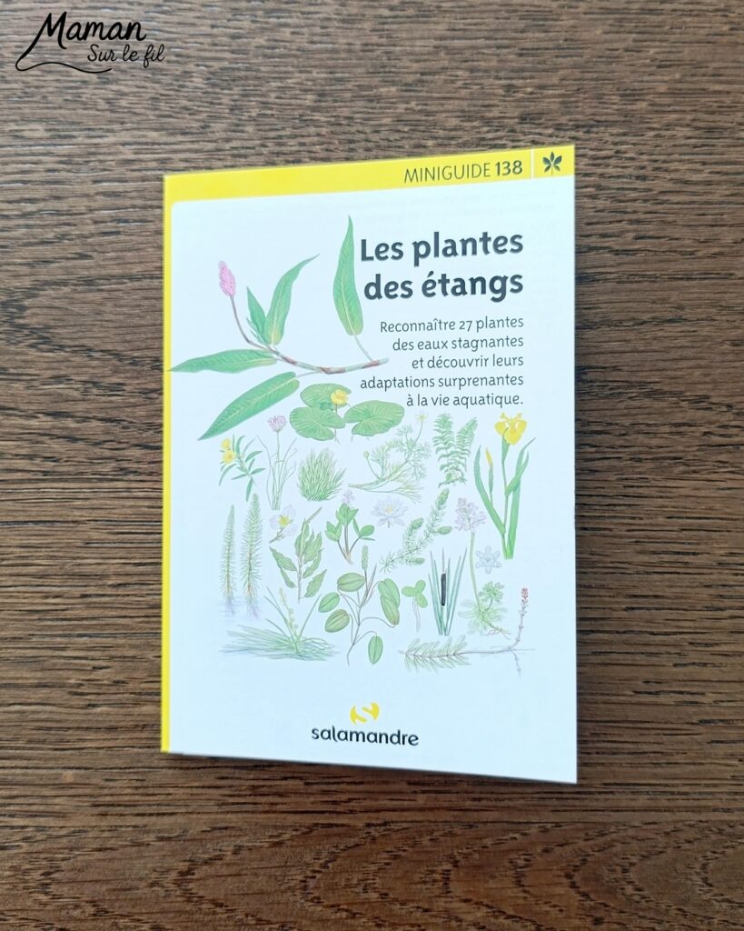 Fabriquer un pic vert accroché à son gobelet et présentation des nouveaux magazines Salamandre : activité créative, collage et manuelle et lecture enfants - Le pivert est dessiné grâce au tutoriel pas à pas de Salamandre - Collé sur du carton - Fil et gobelet pour le système du pivert qui tape le tronc d'arbre - Avis sur les nouveaux magazines Petite Salamandre sur les pics verts, Salamandre Junior sur les hamsters, et Revue Salamandre sur les loriots - Magazines parfaits pour 4 à 99 ans, enfants et adultes, amoureux de la nature et des animaux - Maternelle, Primaire et collège - 3 versions pour tout âge - Complet et qualitatif - Reportages, belles photos, BD, jeux, activités manuelles... - Bricolage et décoration DIY et facile - Bricolage Fait maison, décoration - Thème Animaux et nature, oiseaux, forêts - Bricolage sympa et facile - Code promo pour un numéro gratuit - Arts visuels Maternelle et cycle 2 - Maternelle et élémentaire - Créativité et lecture jeunesse - Cycle 1 ou 2 - tutoriel photos et vidéo - mslf