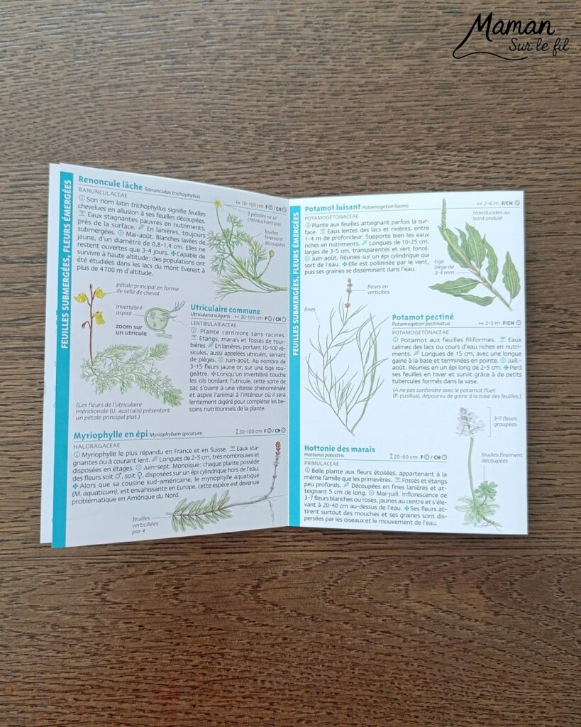 Fabriquer un pic vert accroché à son gobelet et présentation des nouveaux magazines Salamandre : activité créative, collage et manuelle et lecture enfants - Le pivert est dessiné grâce au tutoriel pas à pas de Salamandre - Collé sur du carton - Fil et gobelet pour le système du pivert qui tape le tronc d'arbre - Avis sur les nouveaux magazines Petite Salamandre sur les pics verts, Salamandre Junior sur les hamsters, et Revue Salamandre sur les loriots - Magazines parfaits pour 4 à 99 ans, enfants et adultes, amoureux de la nature et des animaux - Maternelle, Primaire et collège - 3 versions pour tout âge - Complet et qualitatif - Reportages, belles photos, BD, jeux, activités manuelles... - Bricolage et décoration DIY et facile - Bricolage Fait maison, décoration - Thème Animaux et nature, oiseaux, forêts - Bricolage sympa et facile - Code promo pour un numéro gratuit - Arts visuels Maternelle et cycle 2 - Maternelle et élémentaire - Créativité et lecture jeunesse - Cycle 1 ou 2 - tutoriel photos et vidéo - mslf