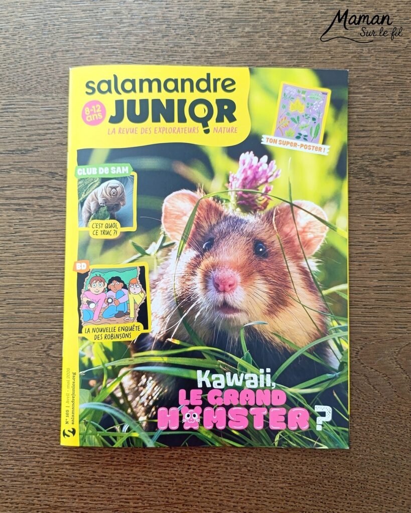 Fabriquer un pic vert accroché à son gobelet et présentation des nouveaux magazines Salamandre : activité créative, collage et manuelle et lecture enfants - Le pivert est dessiné grâce au tutoriel pas à pas de Salamandre - Collé sur du carton - Fil et gobelet pour le système du pivert qui tape le tronc d'arbre - Avis sur les nouveaux magazines Petite Salamandre sur les pics verts, Salamandre Junior sur les hamsters, et Revue Salamandre sur les loriots - Magazines parfaits pour 4 à 99 ans, enfants et adultes, amoureux de la nature et des animaux - Maternelle, Primaire et collège - 3 versions pour tout âge - Complet et qualitatif - Reportages, belles photos, BD, jeux, activités manuelles... - Bricolage et décoration DIY et facile - Bricolage Fait maison, décoration - Thème Animaux et nature, oiseaux, forêts - Bricolage sympa et facile - Code promo pour un numéro gratuit - Arts visuels Maternelle et cycle 2 - Maternelle et élémentaire - Créativité et lecture jeunesse - Cycle 1 ou 2 - tutoriel photos et vidéo - mslf