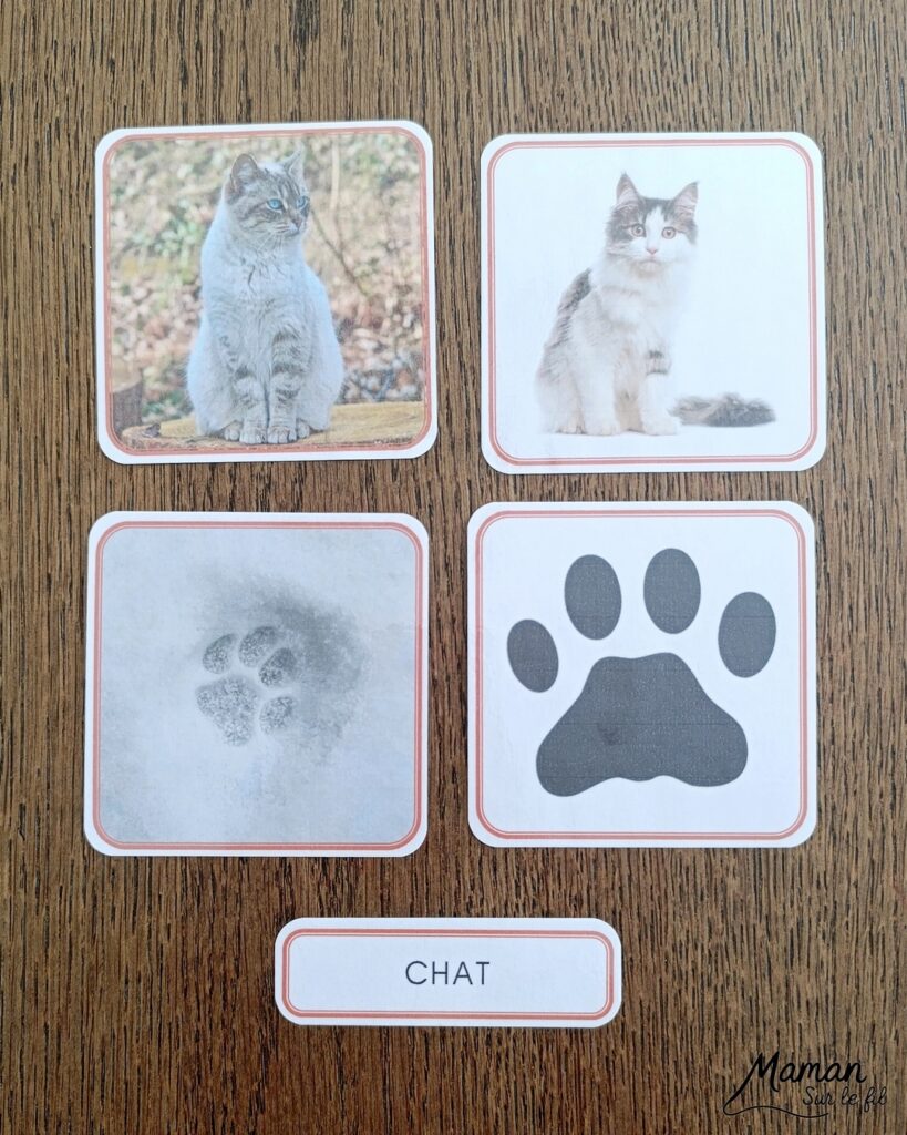 Jeu autour des empreintes d'animaux et présentation des petits livres de la nature chez Salamandre : activité éducative, pédagogique, nature et lecture enfants - Jeu PDF, printable à télécharger et à imprimer - Association entre photos d'animaux et photos et illustrations de leur empreinte - Atelier autocorrectif maternelle, élémentaire (cycles 1, 2 et 3) - Atelier nature, école dehors - Petits livres de la nature pour repérer et reconnaitre les empreintes et traces d'animaux lors de balades - Reconnaitre aussi les fleurs de printemps et les oiseaux migrateurs - Petit format pour amener partout - Avis sur les livres Salamandre, parfaits pour enfants et adultes, amoureux de la nature et des animaux - Maternelle, Primaire et collège - Thème Animaux, forêt, campagnes, oiseaux, fleurs, printemps - Bricolage sympa et facile - Arts visuels Maternelle et cycle 2 - Maternelle et élémentaire - Créativité et lecture jeunesse - Cycle 1 ou 2 - tutoriel photos - mslf