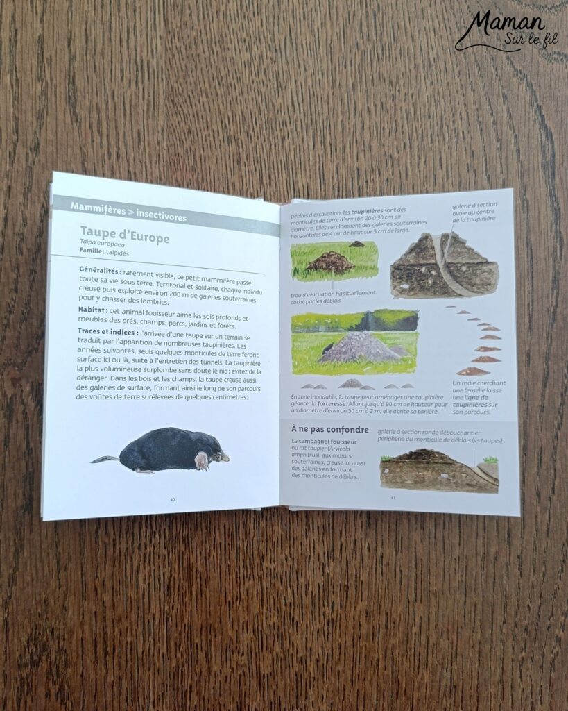 Jeu autour des empreintes d'animaux et présentation des petits livres de la nature chez Salamandre : activité éducative, pédagogique, nature et lecture enfants - Jeu PDF, printable à télécharger et à imprimer - Association entre photos d'animaux et photos et illustrations de leur empreinte - Atelier autocorrectif maternelle, élémentaire (cycles 1, 2 et 3) - Atelier nature, école dehors - Petits livres de la nature pour repérer et reconnaitre les empreintes et traces d'animaux lors de balades - Reconnaitre aussi les fleurs de printemps et les oiseaux migrateurs - Petit format pour amener partout - Avis sur les livres Salamandre, parfaits pour enfants et adultes, amoureux de la nature et des animaux - Maternelle, Primaire et collège - Thème Animaux, forêt, campagnes, oiseaux, fleurs, printemps - Bricolage sympa et facile - Arts visuels Maternelle et cycle 2 - Maternelle et élémentaire - Créativité et lecture jeunesse - Cycle 1 ou 2 - tutoriel photos - mslf