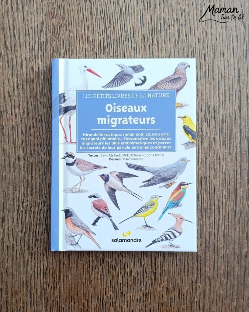 Jeu autour des empreintes d'animaux et présentation des petits livres de la nature chez Salamandre : activité éducative, pédagogique, nature et lecture enfants - Jeu PDF, printable à télécharger et à imprimer - Association entre photos d'animaux et photos et illustrations de leur empreinte - Atelier autocorrectif maternelle, élémentaire (cycles 1, 2 et 3) - Atelier nature, école dehors - Petits livres de la nature pour repérer et reconnaitre les empreintes et traces d'animaux lors de balades - Reconnaitre aussi les fleurs de printemps et les oiseaux migrateurs - Petit format pour amener partout - Avis sur les livres Salamandre, parfaits pour enfants et adultes, amoureux de la nature et des animaux - Maternelle, Primaire et collège - Thème Animaux, forêt, campagnes, oiseaux, fleurs, printemps - Bricolage sympa et facile - Arts visuels Maternelle et cycle 2 - Maternelle et élémentaire - Créativité et lecture jeunesse - Cycle 1 ou 2 - tutoriel photos - mslf