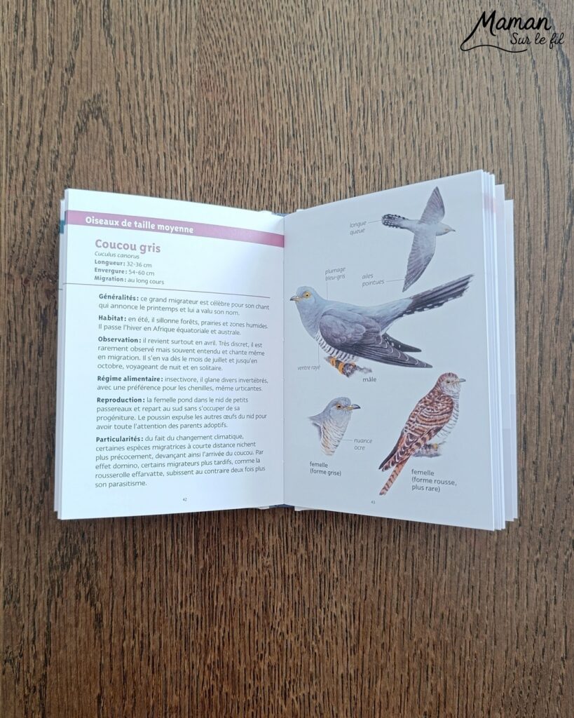 Jeu autour des empreintes d'animaux et présentation des petits livres de la nature chez Salamandre : activité éducative, pédagogique, nature et lecture enfants - Jeu PDF, printable à télécharger et à imprimer - Association entre photos d'animaux et photos et illustrations de leur empreinte - Atelier autocorrectif maternelle, élémentaire (cycles 1, 2 et 3) - Atelier nature, école dehors - Petits livres de la nature pour repérer et reconnaitre les empreintes et traces d'animaux lors de balades - Reconnaitre aussi les fleurs de printemps et les oiseaux migrateurs - Petit format pour amener partout - Avis sur les livres Salamandre, parfaits pour enfants et adultes, amoureux de la nature et des animaux - Maternelle, Primaire et collège - Thème Animaux, forêt, campagnes, oiseaux, fleurs, printemps - Bricolage sympa et facile - Arts visuels Maternelle et cycle 2 - Maternelle et élémentaire - Créativité et lecture jeunesse - Cycle 1 ou 2 - tutoriel photos - mslf