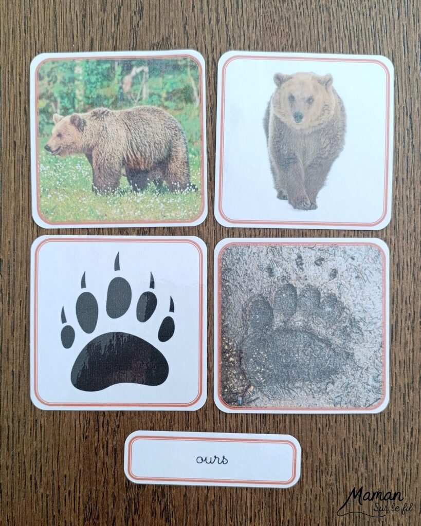 Jeu autour des empreintes d'animaux et présentation des petits livres de la nature chez Salamandre : activité éducative, pédagogique, nature et lecture enfants - Jeu PDF, printable à télécharger et à imprimer - Association entre photos d'animaux et photos et illustrations de leur empreinte - Atelier autocorrectif maternelle, élémentaire (cycles 1, 2 et 3) - Atelier nature, école dehors - Petits livres de la nature pour repérer et reconnaitre les empreintes et traces d'animaux lors de balades - Reconnaitre aussi les fleurs de printemps et les oiseaux migrateurs - Petit format pour amener partout - Avis sur les livres Salamandre, parfaits pour enfants et adultes, amoureux de la nature et des animaux - Maternelle, Primaire et collège - Thème Animaux, forêt, campagnes, oiseaux, fleurs, printemps - Bricolage sympa et facile - Arts visuels Maternelle et cycle 2 - Maternelle et élémentaire - Créativité et lecture jeunesse - Cycle 1 ou 2 - tutoriel photos - mslf