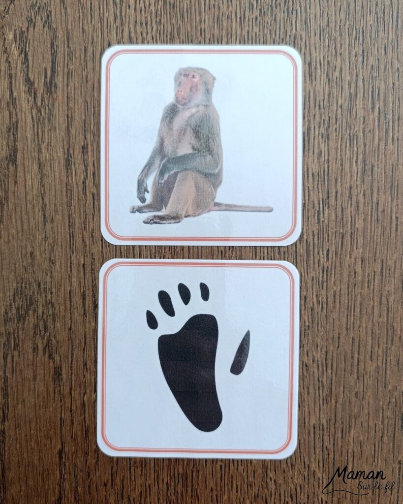 Jeu autour des empreintes d'animaux et présentation des petits livres de la nature chez Salamandre : activité éducative, pédagogique, nature et lecture enfants - Jeu PDF, printable à télécharger et à imprimer - Association entre photos d'animaux et photos et illustrations de leur empreinte - Atelier autocorrectif maternelle, élémentaire (cycles 1, 2 et 3) - Atelier nature, école dehors - Petits livres de la nature pour repérer et reconnaitre les empreintes et traces d'animaux lors de balades - Reconnaitre aussi les fleurs de printemps et les oiseaux migrateurs - Petit format pour amener partout - Avis sur les livres Salamandre, parfaits pour enfants et adultes, amoureux de la nature et des animaux - Maternelle, Primaire et collège - Thème Animaux, forêt, campagnes, oiseaux, fleurs, printemps - Bricolage sympa et facile - Arts visuels Maternelle et cycle 2 - Maternelle et élémentaire - Créativité et lecture jeunesse - Cycle 1 ou 2 - tutoriel photos - mslf