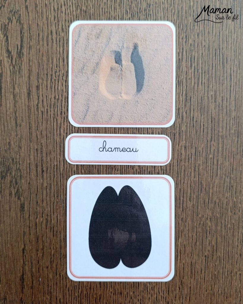 Jeu autour des empreintes d'animaux et présentation des petits livres de la nature chez Salamandre : activité éducative, pédagogique, nature et lecture enfants - Jeu PDF, printable à télécharger et à imprimer - Association entre photos d'animaux et photos et illustrations de leur empreinte - Atelier autocorrectif maternelle, élémentaire (cycles 1, 2 et 3) - Atelier nature, école dehors - Petits livres de la nature pour repérer et reconnaitre les empreintes et traces d'animaux lors de balades - Reconnaitre aussi les fleurs de printemps et les oiseaux migrateurs - Petit format pour amener partout - Avis sur les livres Salamandre, parfaits pour enfants et adultes, amoureux de la nature et des animaux - Maternelle, Primaire et collège - Thème Animaux, forêt, campagnes, oiseaux, fleurs, printemps - Bricolage sympa et facile - Arts visuels Maternelle et cycle 2 - Maternelle et élémentaire - Créativité et lecture jeunesse - Cycle 1 ou 2 - tutoriel photos - mslf