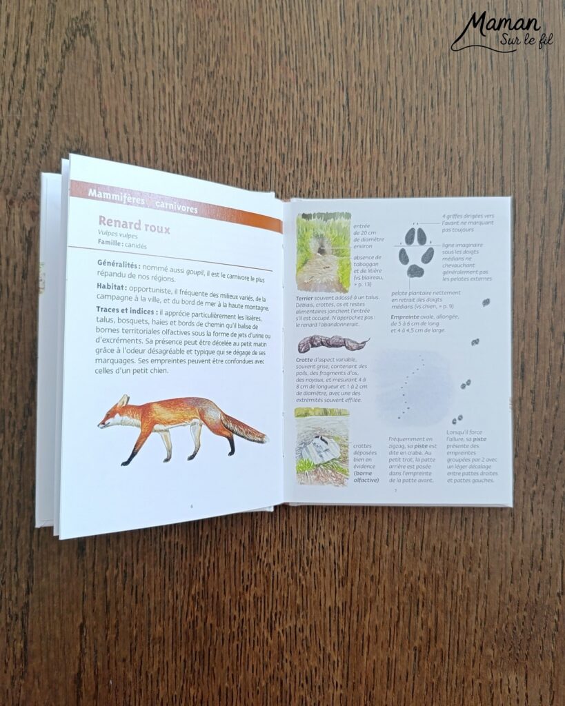 Jeu autour des empreintes d'animaux et présentation des petits livres de la nature chez Salamandre : activité éducative, pédagogique, nature et lecture enfants - Jeu PDF, printable à télécharger et à imprimer - Association entre photos d'animaux et photos et illustrations de leur empreinte - Atelier autocorrectif maternelle, élémentaire (cycles 1, 2 et 3) - Atelier nature, école dehors - Petits livres de la nature pour repérer et reconnaitre les empreintes et traces d'animaux lors de balades - Reconnaitre aussi les fleurs de printemps et les oiseaux migrateurs - Petit format pour amener partout - Avis sur les livres Salamandre, parfaits pour enfants et adultes, amoureux de la nature et des animaux - Maternelle, Primaire et collège - Thème Animaux, forêt, campagnes, oiseaux, fleurs, printemps - Bricolage sympa et facile - Arts visuels Maternelle et cycle 2 - Maternelle et élémentaire - Créativité et lecture jeunesse - Cycle 1 ou 2 - tutoriel photos - mslf