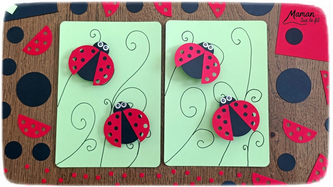 Fabriquer des cartes Coccinelles en 3D avec des trous : activité créative, papier et manuelle enfants - Perforatrices Cercles pour les coccinelles et perforatrice 1 trou pour les trous des ailes (points) - Découpage, collage, symétrie - Pliage de bandes de papier en accordéon pour l'effet en relief, volume, 3D et le mouvement - Impression que les coccinelles s'envolent - Dessins noirs - Bricolage sympa et facile - Thème insectes et autres petites bêtes, nature, printemps - Bricolage et décoration sympa et facile - Arts visuels maternelle et élémentaire - Cycles 1 et 2 - Créativité - tutoriel photos et vidéo - mslf