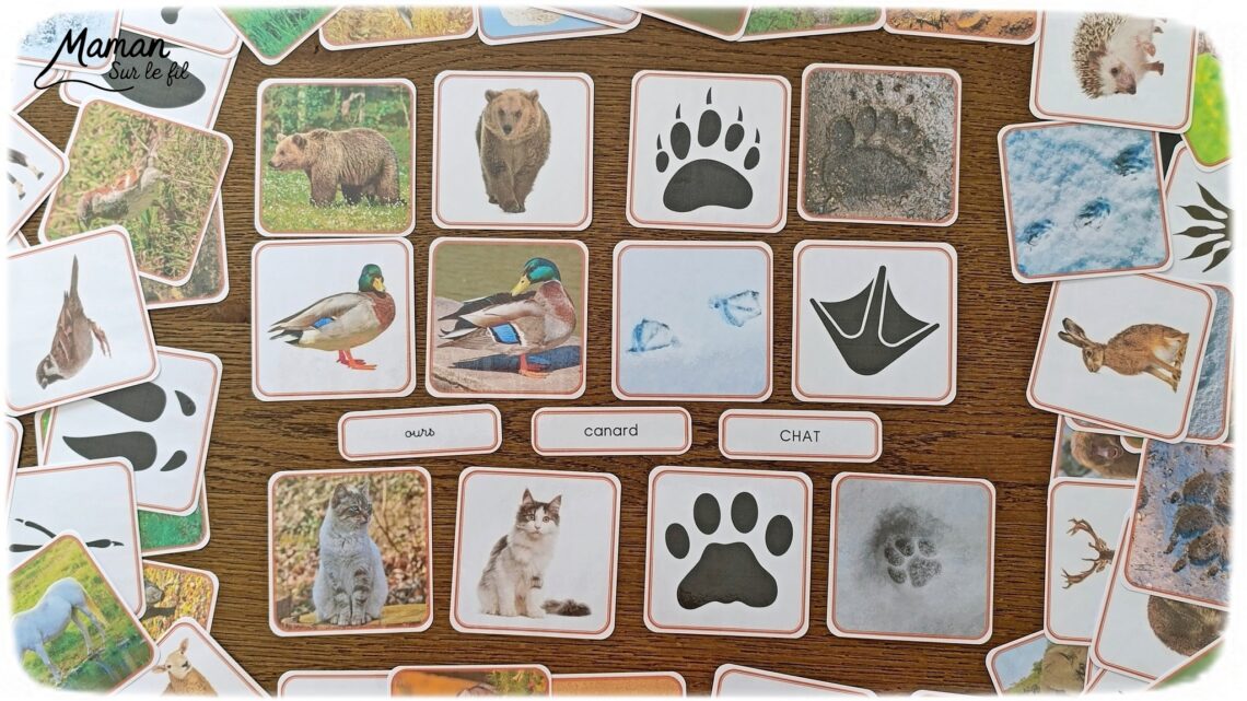 Jeu autour des empreintes d'animaux et présentation des petits livres de la nature chez Salamandre : activité éducative, pédagogique, nature et lecture enfants - Jeu PDF, printable à télécharger et à imprimer - Association entre photos d'animaux et photos et illustrations de leur empreinte - Atelier autocorrectif maternelle, élémentaire (cycles 1, 2 et 3) - Atelier nature, école dehors - Petits livres de la nature pour repérer et reconnaitre les empreintes et traces d'animaux lors de balades - Reconnaitre aussi les fleurs de printemps et les oiseaux migrateurs - Petit format pour amener partout - Avis sur les livres Salamandre, parfaits pour enfants et adultes, amoureux de la nature et des animaux - Maternelle, Primaire et collège - Thème Animaux, forêt, campagnes, oiseaux, fleurs, printemps - Bricolage sympa et facile - Arts visuels Maternelle et cycle 2 - Maternelle et élémentaire - Créativité et lecture jeunesse - Cycle 1 ou 2 - tutoriel photos - mslf