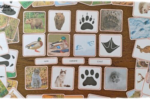 Jeu autour des empreintes d'animaux et présentation des petits livres de la nature chez Salamandre : activité éducative, pédagogique, nature et lecture enfants - Jeu PDF, printable à télécharger et à imprimer - Association entre photos d'animaux et photos et illustrations de leur empreinte - Atelier autocorrectif maternelle, élémentaire (cycles 1, 2 et 3) - Atelier nature, école dehors - Petits livres de la nature pour repérer et reconnaitre les empreintes et traces d'animaux lors de balades - Reconnaitre aussi les fleurs de printemps et les oiseaux migrateurs - Petit format pour amener partout - Avis sur les livres Salamandre, parfaits pour enfants et adultes, amoureux de la nature et des animaux - Maternelle, Primaire et collège - Thème Animaux, forêt, campagnes, oiseaux, fleurs, printemps - Bricolage sympa et facile - Arts visuels Maternelle et cycle 2 - Maternelle et élémentaire - Créativité et lecture jeunesse - Cycle 1 ou 2 - tutoriel photos - mslf