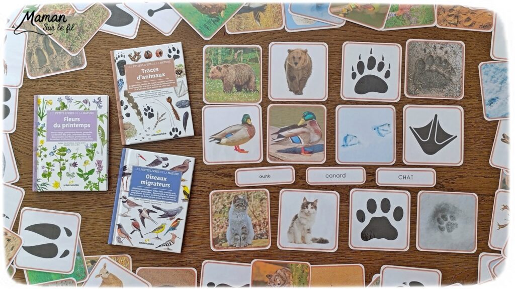Jeu autour des empreintes d'animaux et présentation des petits livres de la nature chez Salamandre : activité éducative, pédagogique, nature et lecture enfants - Jeu PDF, printable à télécharger et à imprimer - Association entre photos d'animaux et photos et illustrations de leur empreinte - Atelier autocorrectif maternelle, élémentaire (cycles 1, 2 et 3) - Atelier nature, école dehors - Petits livres de la nature pour repérer et reconnaitre les empreintes et traces d'animaux lors de balades - Reconnaitre aussi les fleurs de printemps et les oiseaux migrateurs - Petit format pour amener partout - Avis sur les livres Salamandre, parfaits pour enfants et adultes, amoureux de la nature et des animaux - Maternelle, Primaire et collège - Thème Animaux, forêt, campagnes, oiseaux, fleurs, printemps - Bricolage sympa et facile - Arts visuels Maternelle et cycle 2 - Maternelle et élémentaire - Créativité et lecture jeunesse - Cycle 1 ou 2 - tutoriel photos - mslf
