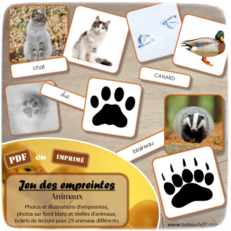 Jeu des empreintes d'animaux - 29 animaux différents de divers habitats, domestiques et sauvages - Association des photos et des illustrations des empreintes, des photos réelles et sur fond blanc des animaux - Tickets de lecture script, cursif, majuscule - Discrimination visuelle, Vocabulaire, lexique - cartes à associer les unes aux autres - document PDF à télécharger et à imprimer ou jeu imprimé - atelier autocorrectif et autonome maternelle - Animaux de la ferme, de la savane, de la forêt, domestiques, oiseaux, herbivores, carnivores - Conseil de livres pour compléter - Atelier nature, école dehors - lslf