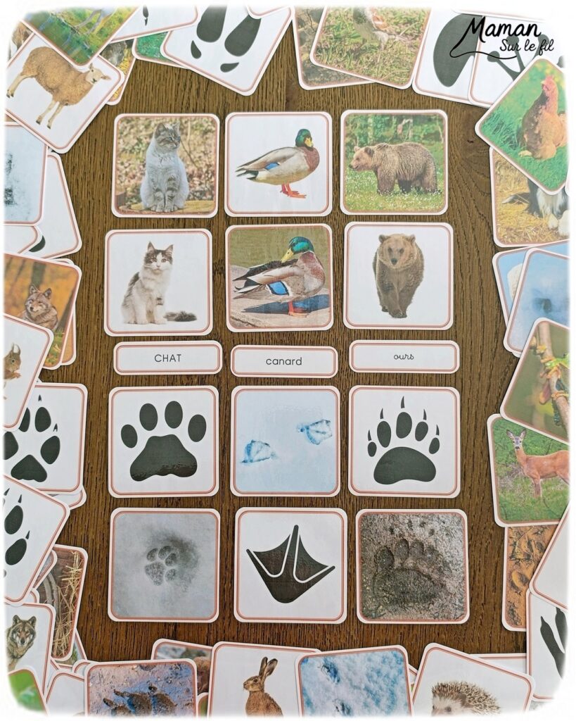 Jeu autour des empreintes d'animaux et présentation des petits livres de la nature chez Salamandre : activité éducative, pédagogique, nature et lecture enfants - Jeu PDF, printable à télécharger et à imprimer - Association entre photos d'animaux et photos et illustrations de leur empreinte - Atelier autocorrectif maternelle, élémentaire (cycles 1, 2 et 3) - Atelier nature, école dehors - Petits livres de la nature pour repérer et reconnaitre les empreintes et traces d'animaux lors de balades - Reconnaitre aussi les fleurs de printemps et les oiseaux migrateurs - Petit format pour amener partout - Avis sur les livres Salamandre, parfaits pour enfants et adultes, amoureux de la nature et des animaux - Maternelle, Primaire et collège - Thème Animaux, forêt, campagnes, oiseaux, fleurs, printemps - Bricolage sympa et facile - Arts visuels Maternelle et cycle 2 - Maternelle et élémentaire - Créativité et lecture jeunesse - Cycle 1 ou 2 - tutoriel photos - mslf