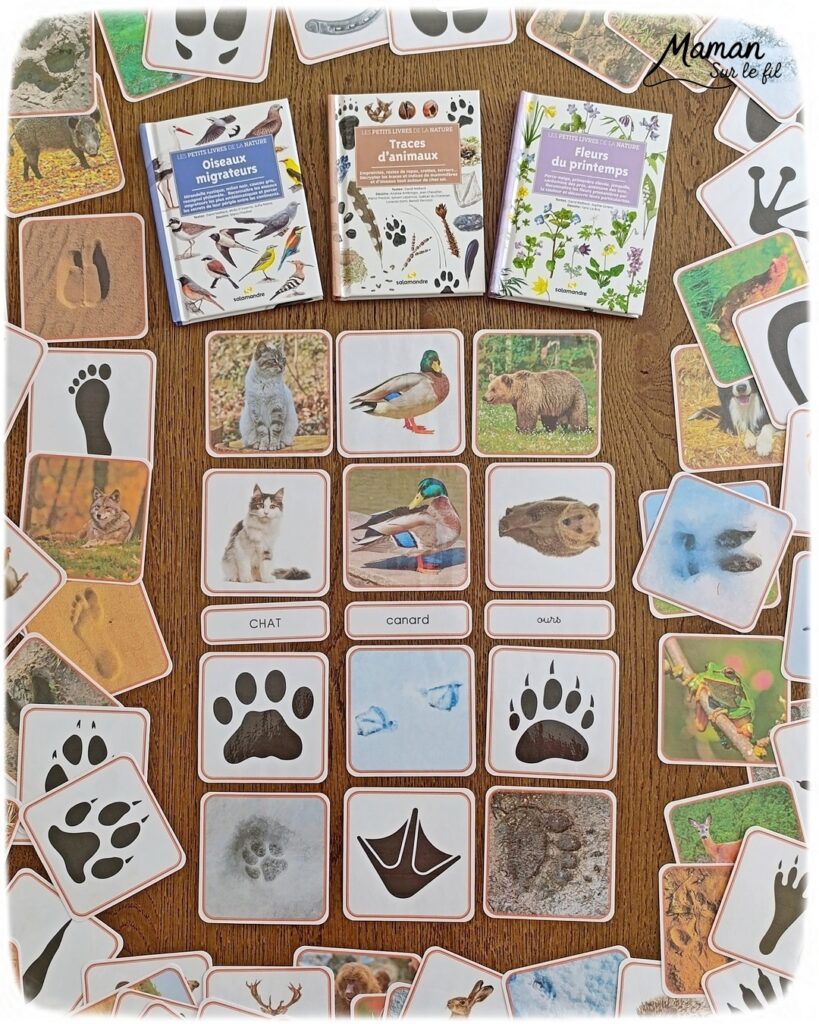 Jeu autour des empreintes d'animaux et présentation des petits livres de la nature chez Salamandre : activité éducative, pédagogique, nature et lecture enfants - Jeu PDF, printable à télécharger et à imprimer - Association entre photos d'animaux et photos et illustrations de leur empreinte - Atelier autocorrectif maternelle, élémentaire (cycles 1, 2 et 3) - Atelier nature, école dehors - Petits livres de la nature pour repérer et reconnaitre les empreintes et traces d'animaux lors de balades - Reconnaitre aussi les fleurs de printemps et les oiseaux migrateurs - Petit format pour amener partout - Avis sur les livres Salamandre, parfaits pour enfants et adultes, amoureux de la nature et des animaux - Maternelle, Primaire et collège - Thème Animaux, forêt, campagnes, oiseaux, fleurs, printemps - Bricolage sympa et facile - Arts visuels Maternelle et cycle 2 - Maternelle et élémentaire - Créativité et lecture jeunesse - Cycle 1 ou 2 - tutoriel photos - mslf