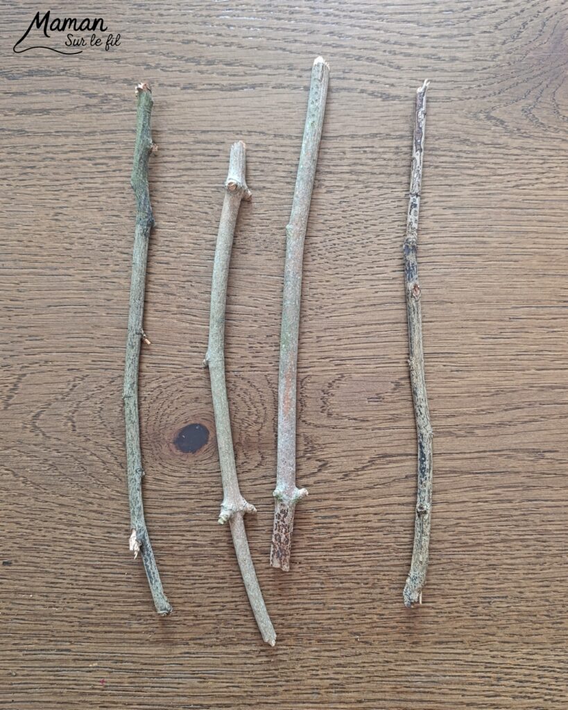 Fabriquer un cadre nature à offrir pour la fête des mères et présentation du grand guide de la nature chez Salamandre : activité créative, manuelle, nature et lecture enfants - Land art ou art nature - Cadre avec des bâtons - Laine enroulée pour faire comme un tissage - Joli rose et étiquette de Bonne fête - Cadeau DIY Fait maison pour la fête des mères ou des grands-mères - Arts visuels, Bricolage maternelle, élémentaire (cycles 1, 2 et 3) - Atelier nature, école dehors - Grand guide de la nature : encyclopédie hyper riche pour reconnaitre 2600 espèces, indices et traces pour nous accompagner sur le terrain, pendant les promenades - Avis sur les livres Salamandre, parfaits pour enfants et adultes, amoureux de la nature et des animaux - Maternelle, Primaire, collège, lycée, adultes - Thème Animaux, forêt, campagnes, oiseaux, fleurs, printemps, nature - Amour, amitié, Saint Valentin, fêtes - Bricolage sympa et facile - Arts visuels Maternelle et cycle 2 - Maternelle et élémentaire - Créativité et lecture jeunesse - Cycle 1 ou 2 - tutoriel photos - mslf