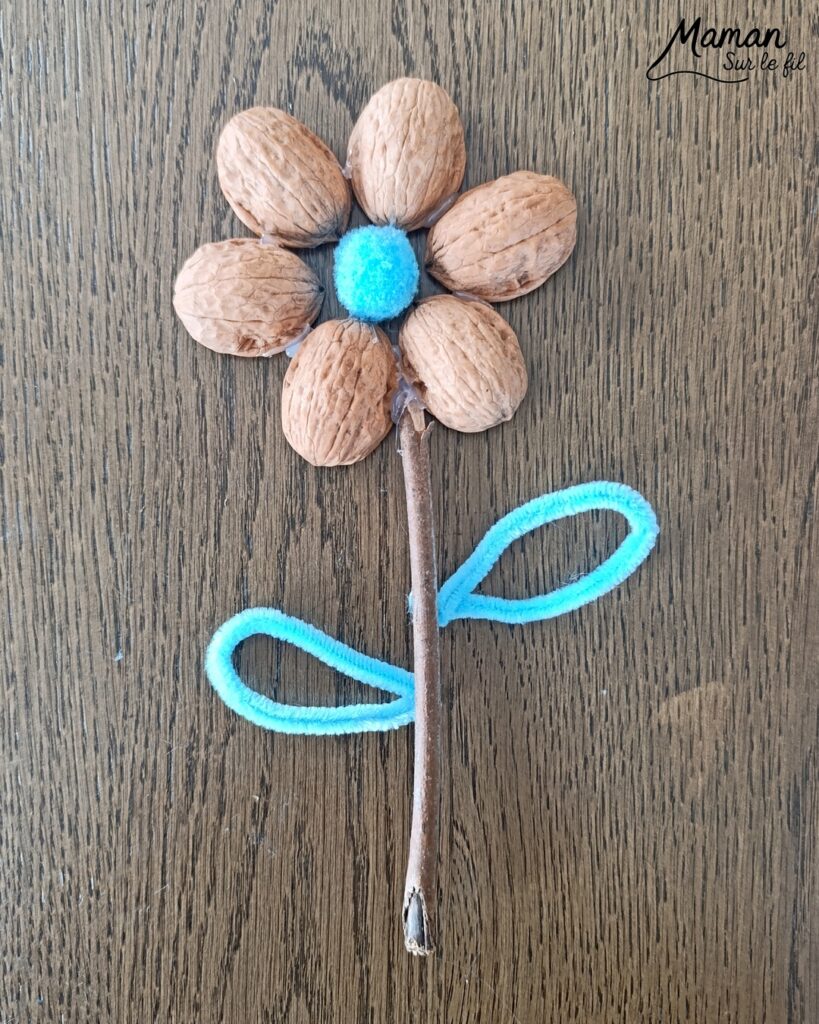 Fabriquer des fleurs avec des coquilles de noix : activité créative, récup', nature et manuelle enfants - Recyclage, surcyclage de coquilles de noix et de bâtons - Land Art - Art Nature - Coeur avec pompons couleurs pastel et feuilles avec fils chenille - Cadeau DIY Fait maison à offrir - Décoration DIY Fait maison - Arts visuels et Bricolage facile - Thème fleurs, nature, printemps, jardin, fête des mères, grands-mères, amour, Saint Valentin - Bricolage et décoration sympa et facile - Arts visuels maternelle et élémentaire - Cycles 1 et 2 - Créativité - tutoriel photos - mslf