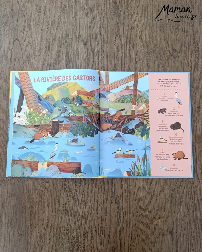 Les Cherche et Trouve sous toutes les coutures : activité ludique, éducative, pédagogique et lecture enfants - Idées d'activités autour des cherche et trouve : jeux de société type Lynx, jeux PDF à imprimer (printable), livres - avis sur les plus beaux Cherche et trouve de la petite Salamandre (autour de la nature, des fleurs, des animaux) - Avis sur les livres de chez Salamandre - Magazines parfaits pour 4 à 99 ans, enfants et adultes, amoureux de la nature et des animaux - Maternelle, Primaire et collège - 3 versions pour tout âge - Complet et qualitatif - Reportages, belles photos, BD, jeux, activités manuelles... - Thème Animaux et nature, oiseaux, forêts, printemps, fleurs - Code promo pour un numéro gratuit - Ateliers Maternelle et cycle 2 - Maternelle et élémentaire - Créativité et lecture jeunesse - Cycle 1 ou 2 - tutoriel photos et vidéo - mslf