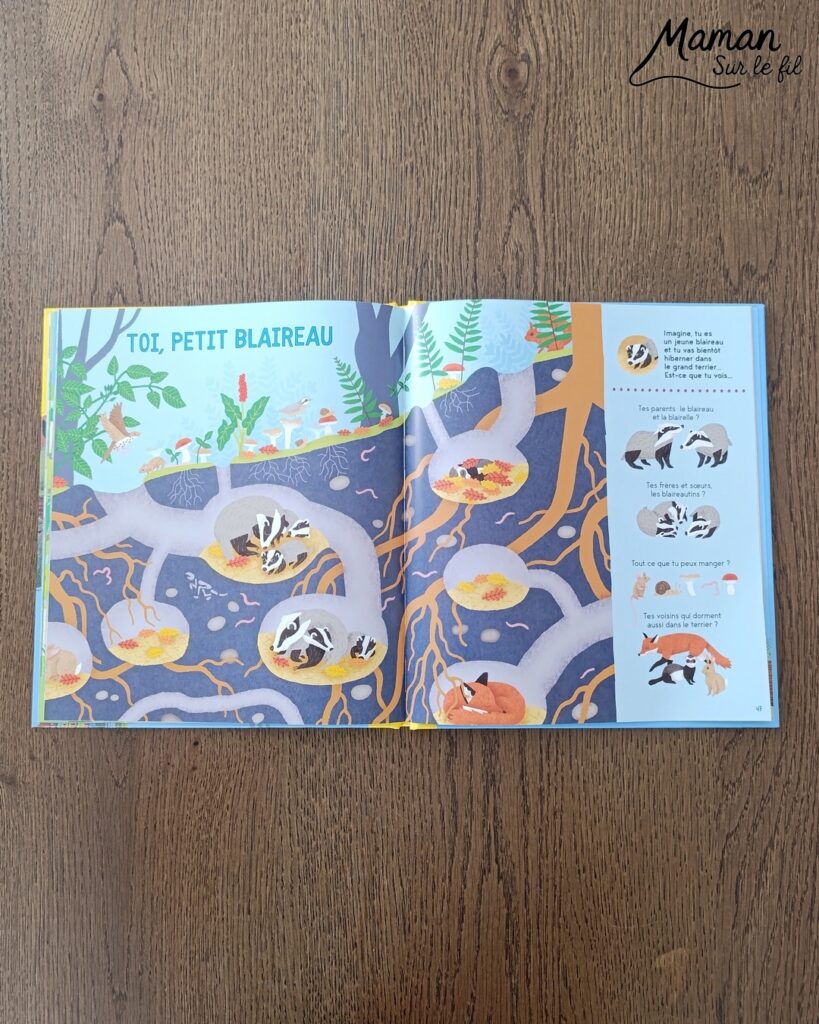 Les Cherche et Trouve sous toutes les coutures : activité ludique, éducative, pédagogique et lecture enfants - Idées d'activités autour des cherche et trouve : jeux de société type Lynx, jeux PDF à imprimer (printable), livres - avis sur les plus beaux Cherche et trouve de la petite Salamandre (autour de la nature, des fleurs, des animaux) - Avis sur les livres de chez Salamandre - Magazines parfaits pour 4 à 99 ans, enfants et adultes, amoureux de la nature et des animaux - Maternelle, Primaire et collège - 3 versions pour tout âge - Complet et qualitatif - Reportages, belles photos, BD, jeux, activités manuelles... - Thème Animaux et nature, oiseaux, forêts, printemps, fleurs - Code promo pour un numéro gratuit - Ateliers Maternelle et cycle 2 - Maternelle et élémentaire - Créativité et lecture jeunesse - Cycle 1 ou 2 - tutoriel photos et vidéo - mslf