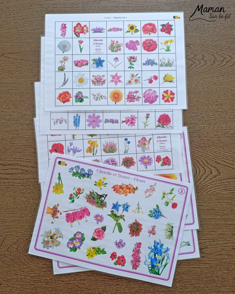 Les Cherche et Trouve sous toutes les coutures : activité ludique, éducative, pédagogique et lecture enfants - Idées d'activités autour des cherche et trouve : jeux de société type Lynx, jeux PDF à imprimer (printable), livres - avis sur les plus beaux Cherche et trouve de la petite Salamandre (autour de la nature, des fleurs, des animaux) - Avis sur les livres de chez Salamandre - Magazines parfaits pour 4 à 99 ans, enfants et adultes, amoureux de la nature et des animaux - Maternelle, Primaire et collège - 3 versions pour tout âge - Complet et qualitatif - Reportages, belles photos, BD, jeux, activités manuelles... - Thème Animaux et nature, oiseaux, forêts, printemps, fleurs - Code promo pour un numéro gratuit - Ateliers Maternelle et cycle 2 - Maternelle et élémentaire - Créativité et lecture jeunesse - Cycle 1 ou 2 - tutoriel photos et vidéo - mslf