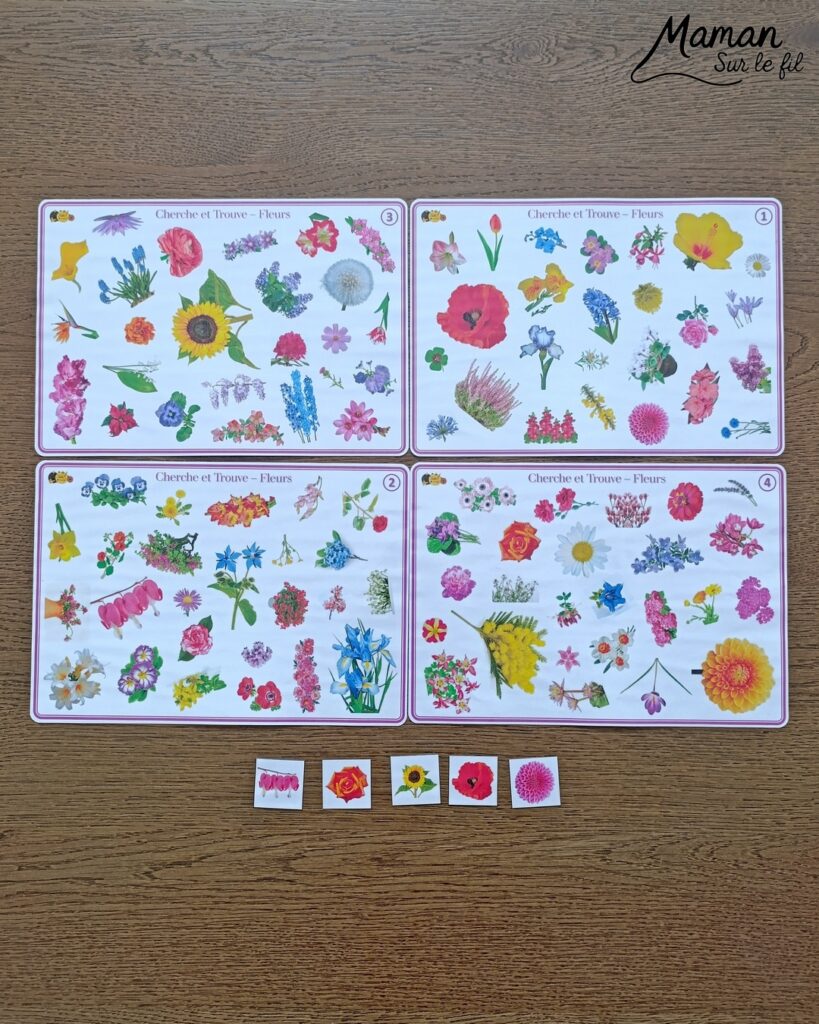Les Cherche et Trouve sous toutes les coutures : activité ludique, éducative, pédagogique et lecture enfants - Idées d'activités autour des cherche et trouve : jeux de société type Lynx, jeux PDF à imprimer (printable), livres - avis sur les plus beaux Cherche et trouve de la petite Salamandre (autour de la nature, des fleurs, des animaux) - Avis sur les livres de chez Salamandre - Magazines parfaits pour 4 à 99 ans, enfants et adultes, amoureux de la nature et des animaux - Maternelle, Primaire et collège - 3 versions pour tout âge - Complet et qualitatif - Reportages, belles photos, BD, jeux, activités manuelles... - Thème Animaux et nature, oiseaux, forêts, printemps, fleurs - Code promo pour un numéro gratuit - Ateliers Maternelle et cycle 2 - Maternelle et élémentaire - Créativité et lecture jeunesse - Cycle 1 ou 2 - tutoriel photos et vidéo - mslf
