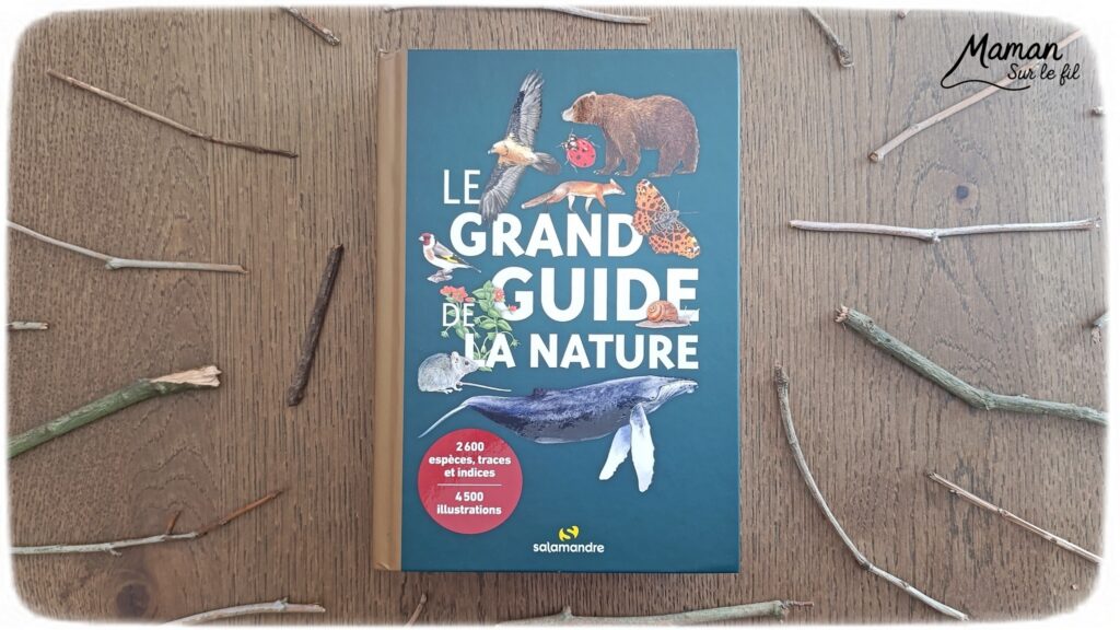 Fabriquer un cadre nature à offrir pour la fête des mères et présentation du grand guide de la nature chez Salamandre : activité créative, manuelle, nature et lecture enfants - Land art ou art nature - Cadre avec des bâtons - Laine enroulée pour faire comme un tissage - Joli rose et étiquette de Bonne fête - Cadeau DIY Fait maison pour la fête des mères ou des grands-mères - Arts visuels, Bricolage maternelle, élémentaire (cycles 1, 2 et 3) - Atelier nature, école dehors - Grand guide de la nature : encyclopédie hyper riche pour reconnaitre 2600 espèces, indices et traces pour nous accompagner sur le terrain, pendant les promenades - Avis sur les livres Salamandre, parfaits pour enfants et adultes, amoureux de la nature et des animaux - Maternelle, Primaire, collège, lycée, adultes - Thème Animaux, forêt, campagnes, oiseaux, fleurs, printemps, nature - Amour, amitié, Saint Valentin, fêtes - Bricolage sympa et facile - Arts visuels Maternelle et cycle 2 - Maternelle et élémentaire - Créativité et lecture jeunesse - Cycle 1 ou 2 - tutoriel photos - mslf