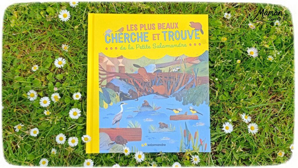 Les Cherche et Trouve sous toutes les coutures : activité ludique, éducative, pédagogique et lecture enfants - Idées d'activités autour des cherche et trouve : jeux de société type Lynx, jeux PDF à imprimer (printable), livres - avis sur les plus beaux Cherche et trouve de la petite Salamandre (autour de la nature, des fleurs, des animaux) - Avis sur les livres de chez Salamandre - Magazines parfaits pour 4 à 99 ans, enfants et adultes, amoureux de la nature et des animaux - Maternelle, Primaire et collège - 3 versions pour tout âge - Complet et qualitatif - Reportages, belles photos, BD, jeux, activités manuelles... - Thème Animaux et nature, oiseaux, forêts, printemps, fleurs - Code promo pour un numéro gratuit - Ateliers Maternelle et cycle 2 - Maternelle et élémentaire - Créativité et lecture jeunesse - Cycle 1 ou 2 - tutoriel photos et vidéo - mslf