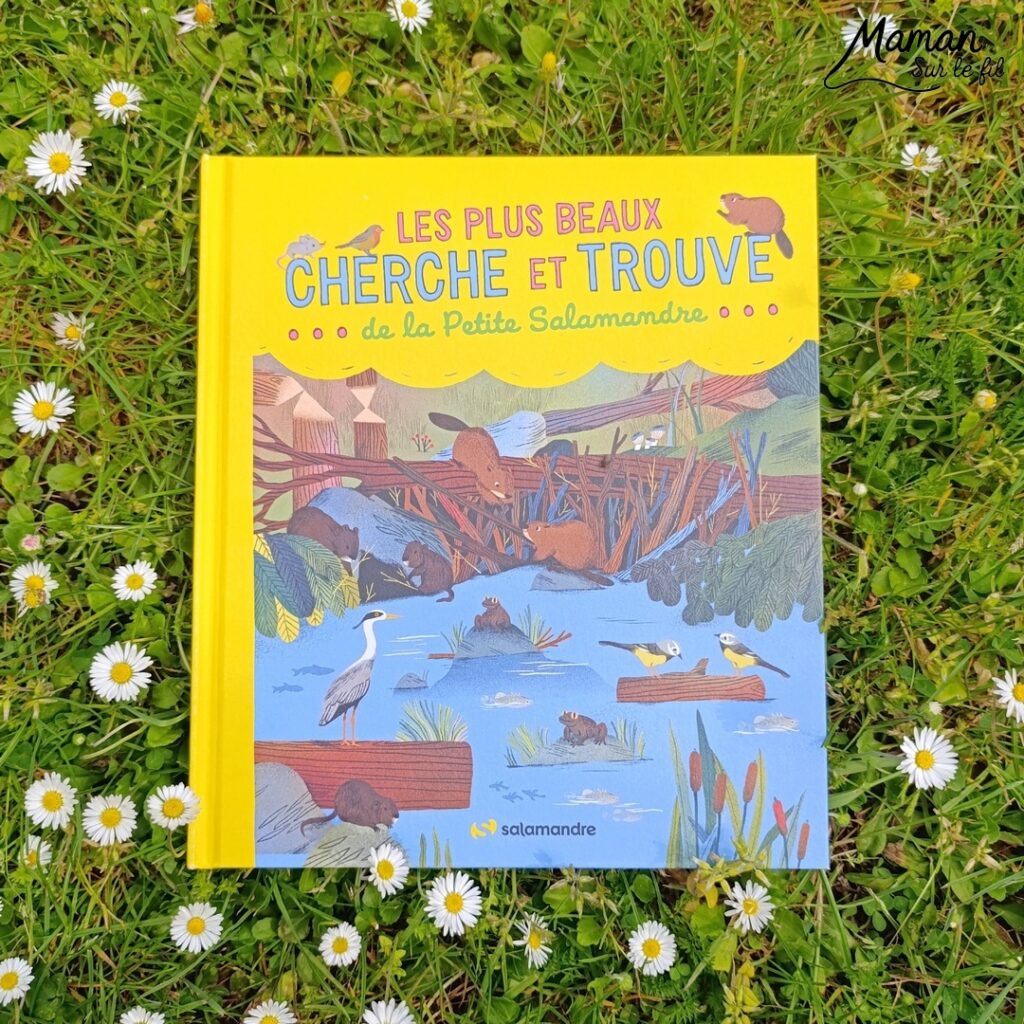 Les Cherche et Trouve sous toutes les coutures : activité ludique, éducative, pédagogique et lecture enfants - Idées d'activités autour des cherche et trouve : jeux de société type Lynx, jeux PDF à imprimer (printable), livres - avis sur les plus beaux Cherche et trouve de la petite Salamandre (autour de la nature, des fleurs, des animaux) - Avis sur les livres de chez Salamandre - Magazines parfaits pour 4 à 99 ans, enfants et adultes, amoureux de la nature et des animaux - Maternelle, Primaire et collège - 3 versions pour tout âge - Complet et qualitatif - Reportages, belles photos, BD, jeux, activités manuelles... - Thème Animaux et nature, oiseaux, forêts, printemps, fleurs - Code promo pour un numéro gratuit - Ateliers Maternelle et cycle 2 - Maternelle et élémentaire - Créativité et lecture jeunesse - Cycle 1 ou 2 - tutoriel photos et vidéo - mslf