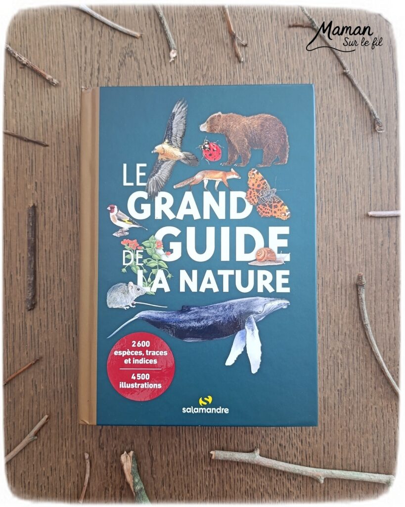 Fabriquer un cadre nature à offrir pour la fête des mères et présentation du grand guide de la nature chez Salamandre : activité créative, manuelle, nature et lecture enfants - Land art ou art nature - Cadre avec des bâtons - Laine enroulée pour faire comme un tissage - Joli rose et étiquette de Bonne fête - Cadeau DIY Fait maison pour la fête des mères ou des grands-mères - Arts visuels, Bricolage maternelle, élémentaire (cycles 1, 2 et 3) - Atelier nature, école dehors - Grand guide de la nature : encyclopédie hyper riche pour reconnaitre 2600 espèces, indices et traces pour nous accompagner sur le terrain, pendant les promenades - Avis sur les livres Salamandre, parfaits pour enfants et adultes, amoureux de la nature et des animaux - Maternelle, Primaire, collège, lycée, adultes - Thème Animaux, forêt, campagnes, oiseaux, fleurs, printemps, nature - Amour, amitié, Saint Valentin, fêtes - Bricolage sympa et facile - Arts visuels Maternelle et cycle 2 - Maternelle et élémentaire - Créativité et lecture jeunesse - Cycle 1 ou 2 - tutoriel photos - mslf