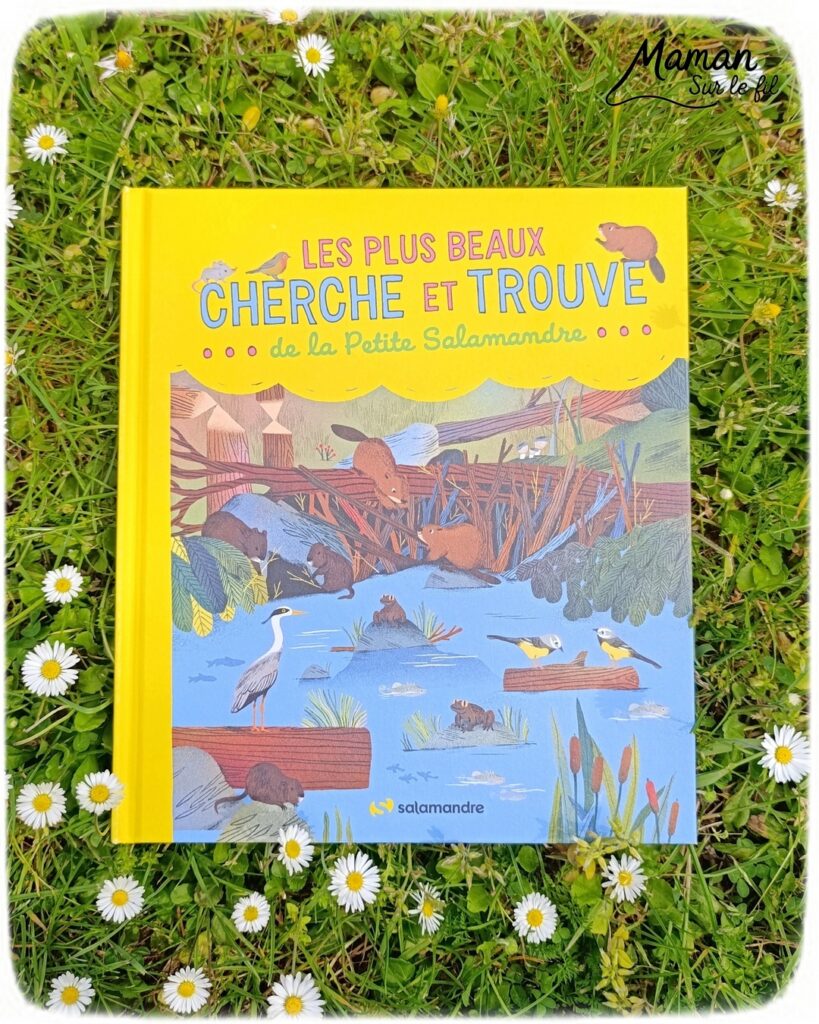 Les Cherche et Trouve sous toutes les coutures : activité ludique, éducative, pédagogique et lecture enfants - Idées d'activités autour des cherche et trouve : jeux de société type Lynx, jeux PDF à imprimer (printable), livres - avis sur les plus beaux Cherche et trouve de la petite Salamandre (autour de la nature, des fleurs, des animaux) - Avis sur les livres de chez Salamandre - Magazines parfaits pour 4 à 99 ans, enfants et adultes, amoureux de la nature et des animaux - Maternelle, Primaire et collège - 3 versions pour tout âge - Complet et qualitatif - Reportages, belles photos, BD, jeux, activités manuelles... - Thème Animaux et nature, oiseaux, forêts, printemps, fleurs - Code promo pour un numéro gratuit - Ateliers Maternelle et cycle 2 - Maternelle et élémentaire - Créativité et lecture jeunesse - Cycle 1 ou 2 - tutoriel photos et vidéo - mslf