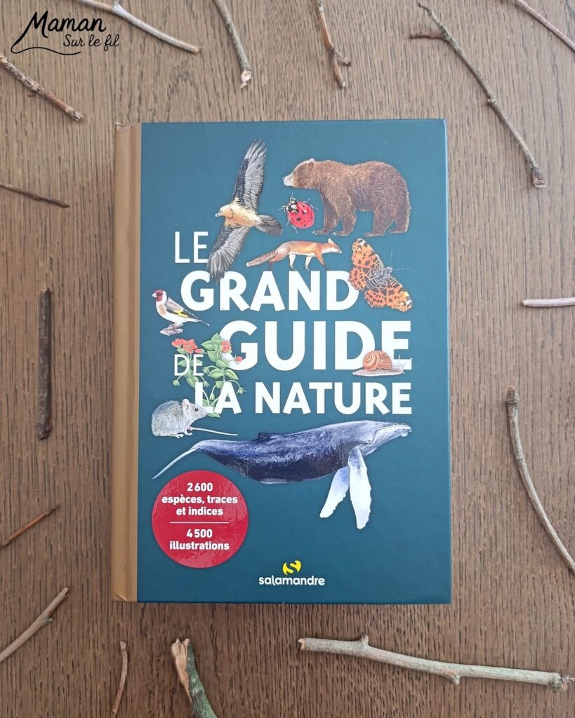 Chaque chapitre débute par une présentation des différents groupes, sous-groupes mais aussi, si besoin, des clés et indices d'identification.  La plupart des espèces sont présentés soit par groupes soit par milieux d'habitation.