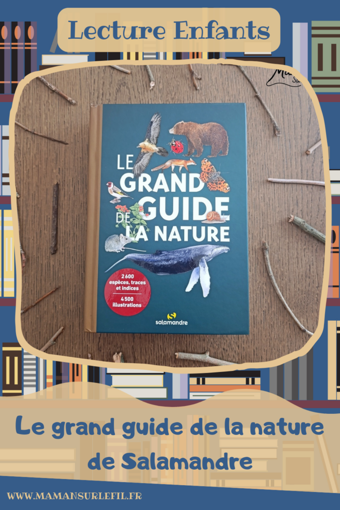 Fabriquer un cadre nature à offrir pour la fête des mères et présentation du grand guide de la nature chez Salamandre : activité créative, manuelle, nature et lecture enfants - Land art ou art nature - Cadre avec des bâtons - Laine enroulée pour faire comme un tissage - Joli rose et étiquette de Bonne fête - Cadeau DIY Fait maison pour la fête des mères ou des grands-mères - Arts visuels, Bricolage maternelle, élémentaire (cycles 1, 2 et 3) - Atelier nature, école dehors - Grand guide de la nature : encyclopédie hyper riche pour reconnaitre 2600 espèces, indices et traces pour nous accompagner sur le terrain, pendant les promenades - Avis sur les livres Salamandre, parfaits pour enfants et adultes, amoureux de la nature et des animaux - Maternelle, Primaire, collège, lycée, adultes - Thème Animaux, forêt, campagnes, oiseaux, fleurs, printemps, nature - Amour, amitié, Saint Valentin, fêtes - Bricolage sympa et facile - Arts visuels Maternelle et cycle 2 - Maternelle et élémentaire - Créativité et lecture jeunesse - Cycle 1 ou 2 - tutoriel photos - mslf