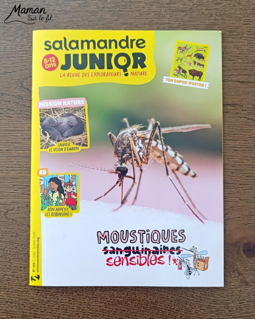 Fabriquer de jolies libellules avec fils chenille et récup' + présentation des nouveaux magazines Salamandre : activité créative, peinture et manuelle et lecture enfants - Les libellules sont fabriquées avec des fils chenille, des bâtonnets de glace en bois, des boutons, des gommettes Yeux et des mini grelots pour le côté musical - Recyclage, surcylage, sensoriel - Avis sur les nouveaux magazines Petite Salamandre sur les libellules, Salamandre Junior sur les moustiques, et Revue Salamandre sur les tiques - Magazines parfaits pour 4 à 99 ans, enfants et adultes, amoureux de la nature et des animaux - Maternelle, Primaire et collège - 3 versions pour tout âge - Complet et qualitatif - Reportages, belles photos, BD, jeux, activités manuelles... - Bricolage et décoration DIY et facile - Bricolage Fait maison, décoration - Thème Animaux et nature, insectes et petites bêtes, fête de la musique, printemps, été - Bricolage sympa et facile - Code promo pour un numéro gratuit - Arts visuels Maternelle et cycle 2 - Maternelle et élémentaire - Créativité et lecture jeunesse - Cycle 1 ou 2 - tutoriel photos - mslf