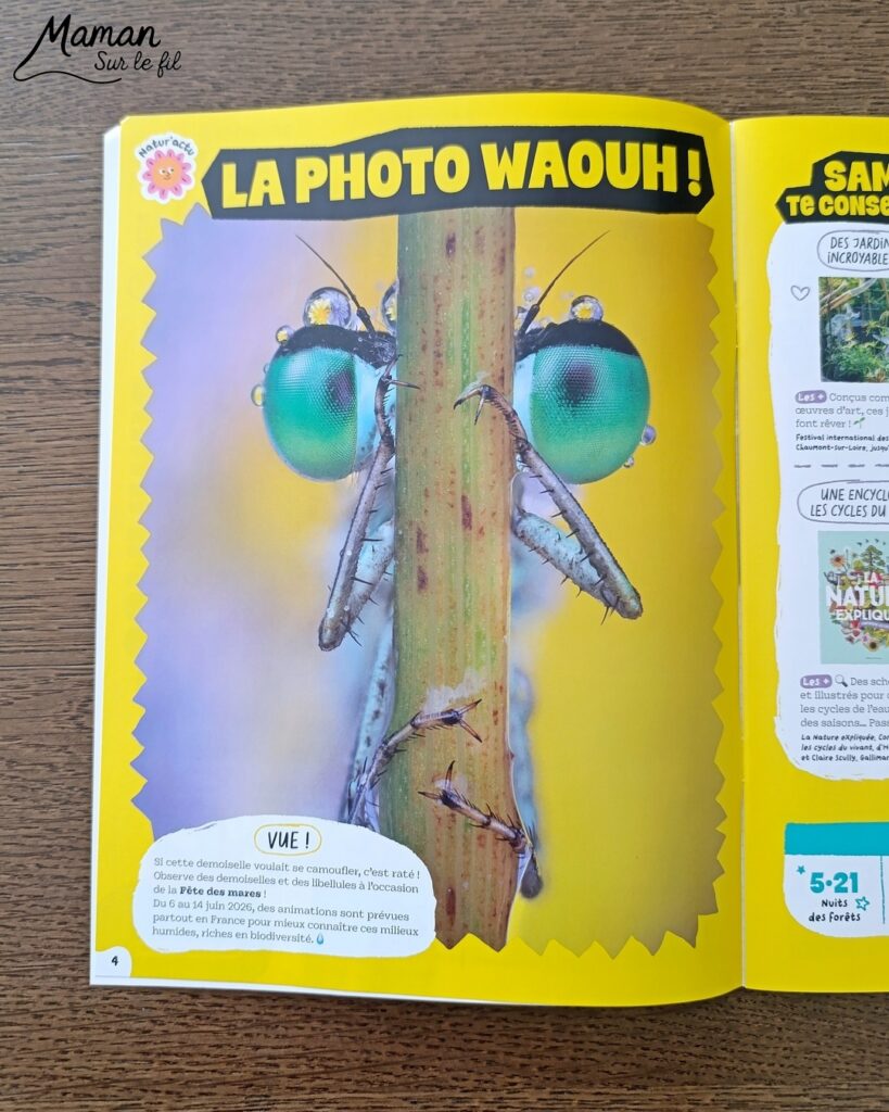 Fabriquer de jolies libellules avec fils chenille et récup' + présentation des nouveaux magazines Salamandre : activité créative, peinture et manuelle et lecture enfants - Les libellules sont fabriquées avec des fils chenille, des bâtonnets de glace en bois, des boutons, des gommettes Yeux et des mini grelots pour le côté musical - Recyclage, surcylage, sensoriel - Avis sur les nouveaux magazines Petite Salamandre sur les libellules, Salamandre Junior sur les moustiques, et Revue Salamandre sur les tiques - Magazines parfaits pour 4 à 99 ans, enfants et adultes, amoureux de la nature et des animaux - Maternelle, Primaire et collège - 3 versions pour tout âge - Complet et qualitatif - Reportages, belles photos, BD, jeux, activités manuelles... - Bricolage et décoration DIY et facile - Bricolage Fait maison, décoration - Thème Animaux et nature, insectes et petites bêtes, fête de la musique, printemps, été - Bricolage sympa et facile - Code promo pour un numéro gratuit - Arts visuels Maternelle et cycle 2 - Maternelle et élémentaire - Créativité et lecture jeunesse - Cycle 1 ou 2 - tutoriel photos - mslf