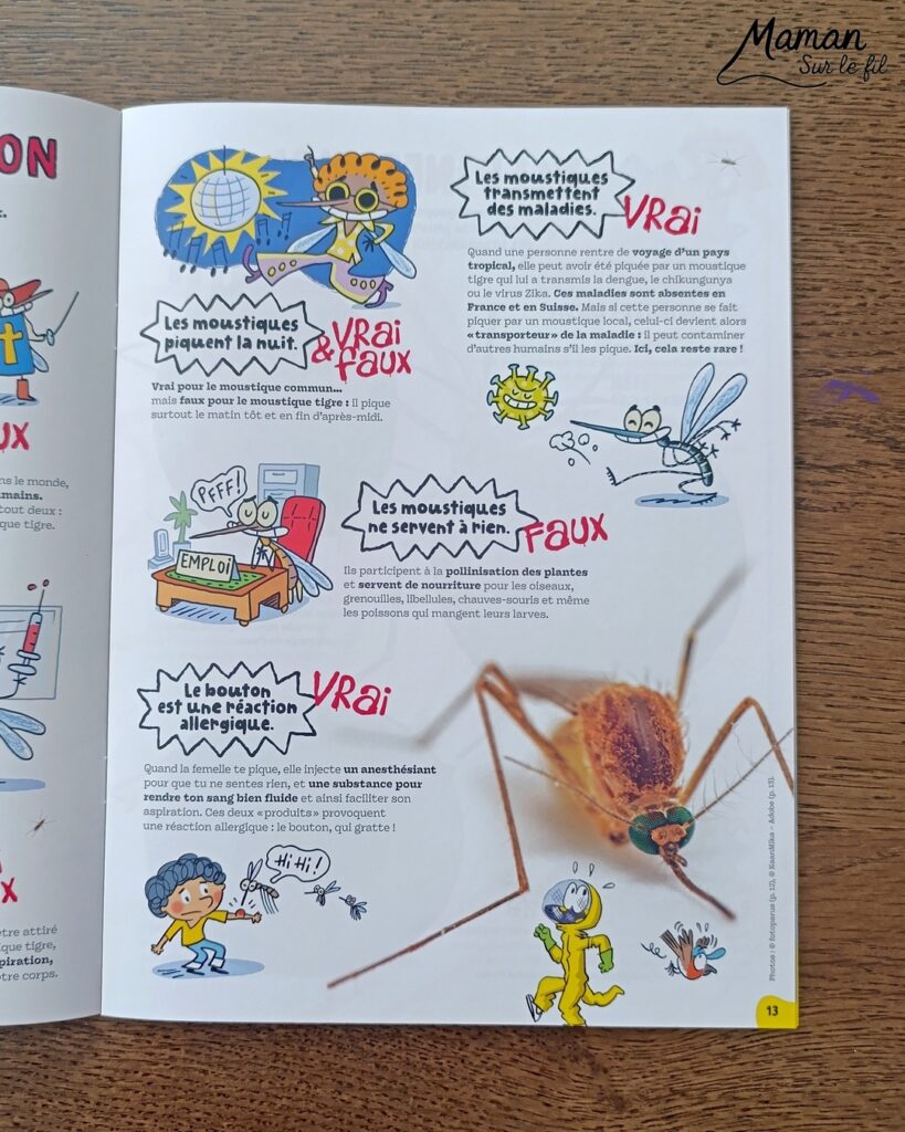 Fabriquer de jolies libellules avec fils chenille et récup' + présentation des nouveaux magazines Salamandre : activité créative, peinture et manuelle et lecture enfants - Les libellules sont fabriquées avec des fils chenille, des bâtonnets de glace en bois, des boutons, des gommettes Yeux et des mini grelots pour le côté musical - Recyclage, surcylage, sensoriel - Avis sur les nouveaux magazines Petite Salamandre sur les libellules, Salamandre Junior sur les moustiques, et Revue Salamandre sur les tiques - Magazines parfaits pour 4 à 99 ans, enfants et adultes, amoureux de la nature et des animaux - Maternelle, Primaire et collège - 3 versions pour tout âge - Complet et qualitatif - Reportages, belles photos, BD, jeux, activités manuelles... - Bricolage et décoration DIY et facile - Bricolage Fait maison, décoration - Thème Animaux et nature, insectes et petites bêtes, fête de la musique, printemps, été - Bricolage sympa et facile - Code promo pour un numéro gratuit - Arts visuels Maternelle et cycle 2 - Maternelle et élémentaire - Créativité et lecture jeunesse - Cycle 1 ou 2 - tutoriel photos - mslf