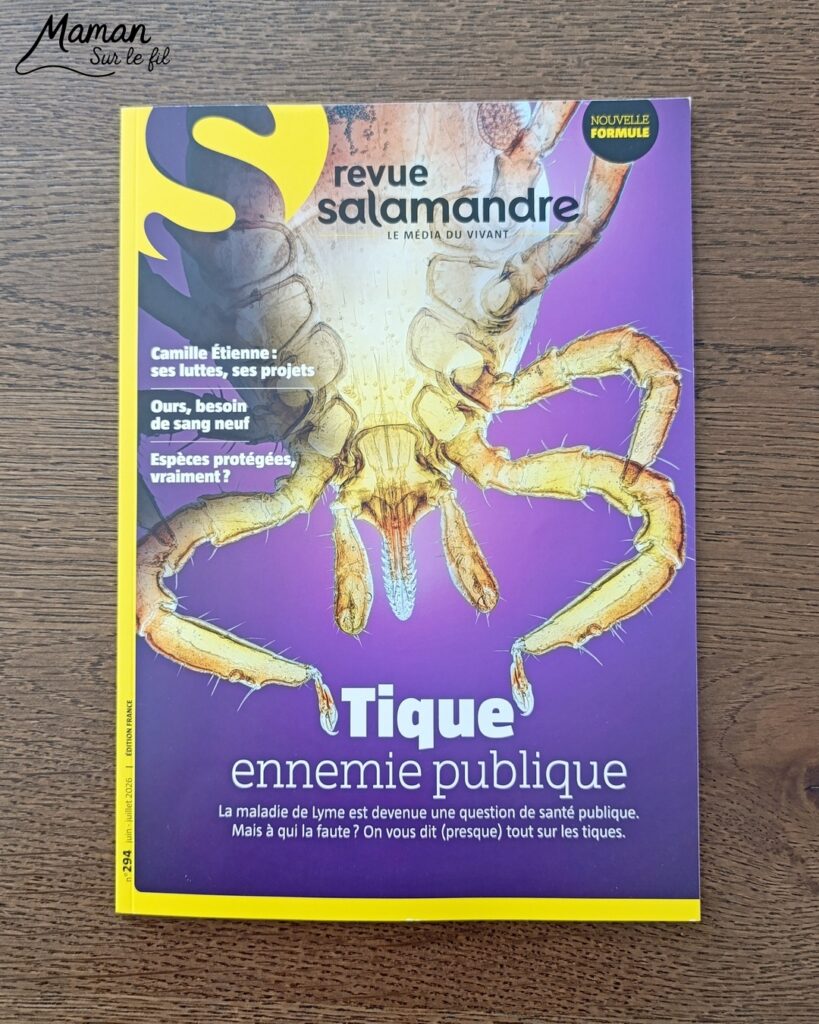 Fabriquer de jolies libellules avec fils chenille et récup' + présentation des nouveaux magazines Salamandre : activité créative, peinture et manuelle et lecture enfants - Les libellules sont fabriquées avec des fils chenille, des bâtonnets de glace en bois, des boutons, des gommettes Yeux et des mini grelots pour le côté musical - Recyclage, surcylage, sensoriel - Avis sur les nouveaux magazines Petite Salamandre sur les libellules, Salamandre Junior sur les moustiques, et Revue Salamandre sur les tiques - Magazines parfaits pour 4 à 99 ans, enfants et adultes, amoureux de la nature et des animaux - Maternelle, Primaire et collège - 3 versions pour tout âge - Complet et qualitatif - Reportages, belles photos, BD, jeux, activités manuelles... - Bricolage et décoration DIY et facile - Bricolage Fait maison, décoration - Thème Animaux et nature, insectes et petites bêtes, fête de la musique, printemps, été - Bricolage sympa et facile - Code promo pour un numéro gratuit - Arts visuels Maternelle et cycle 2 - Maternelle et élémentaire - Créativité et lecture jeunesse - Cycle 1 ou 2 - tutoriel photos - mslf