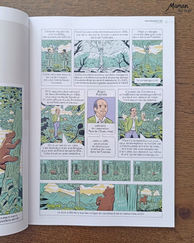 Fabriquer de jolies libellules avec fils chenille et récup' + présentation des nouveaux magazines Salamandre : activité créative, peinture et manuelle et lecture enfants - Les libellules sont fabriquées avec des fils chenille, des bâtonnets de glace en bois, des boutons, des gommettes Yeux et des mini grelots pour le côté musical - Recyclage, surcylage, sensoriel - Avis sur les nouveaux magazines Petite Salamandre sur les libellules, Salamandre Junior sur les moustiques, et Revue Salamandre sur les tiques - Magazines parfaits pour 4 à 99 ans, enfants et adultes, amoureux de la nature et des animaux - Maternelle, Primaire et collège - 3 versions pour tout âge - Complet et qualitatif - Reportages, belles photos, BD, jeux, activités manuelles... - Bricolage et décoration DIY et facile - Bricolage Fait maison, décoration - Thème Animaux et nature, insectes et petites bêtes, fête de la musique, printemps, été - Bricolage sympa et facile - Code promo pour un numéro gratuit - Arts visuels Maternelle et cycle 2 - Maternelle et élémentaire - Créativité et lecture jeunesse - Cycle 1 ou 2 - tutoriel photos - mslf