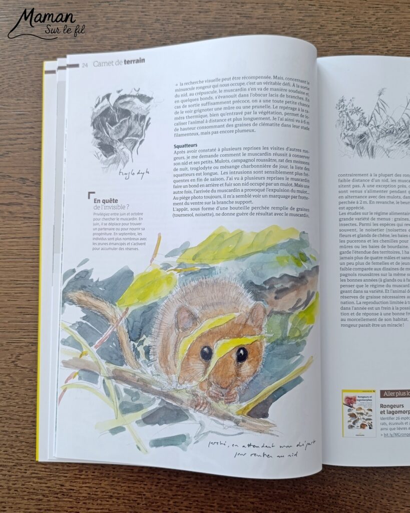Fabriquer de jolies libellules avec fils chenille et récup' + présentation des nouveaux magazines Salamandre : activité créative, peinture et manuelle et lecture enfants - Les libellules sont fabriquées avec des fils chenille, des bâtonnets de glace en bois, des boutons, des gommettes Yeux et des mini grelots pour le côté musical - Recyclage, surcylage, sensoriel - Avis sur les nouveaux magazines Petite Salamandre sur les libellules, Salamandre Junior sur les moustiques, et Revue Salamandre sur les tiques - Magazines parfaits pour 4 à 99 ans, enfants et adultes, amoureux de la nature et des animaux - Maternelle, Primaire et collège - 3 versions pour tout âge - Complet et qualitatif - Reportages, belles photos, BD, jeux, activités manuelles... - Bricolage et décoration DIY et facile - Bricolage Fait maison, décoration - Thème Animaux et nature, insectes et petites bêtes, fête de la musique, printemps, été - Bricolage sympa et facile - Code promo pour un numéro gratuit - Arts visuels Maternelle et cycle 2 - Maternelle et élémentaire - Créativité et lecture jeunesse - Cycle 1 ou 2 - tutoriel photos - mslf