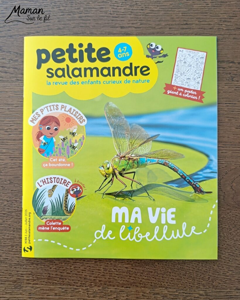 Fabriquer de jolies libellules avec fils chenille et récup' + présentation des nouveaux magazines Salamandre : activité créative, peinture et manuelle et lecture enfants - Les libellules sont fabriquées avec des fils chenille, des bâtonnets de glace en bois, des boutons, des gommettes Yeux et des mini grelots pour le côté musical - Recyclage, surcylage, sensoriel - Avis sur les nouveaux magazines Petite Salamandre sur les libellules, Salamandre Junior sur les moustiques, et Revue Salamandre sur les tiques - Magazines parfaits pour 4 à 99 ans, enfants et adultes, amoureux de la nature et des animaux - Maternelle, Primaire et collège - 3 versions pour tout âge - Complet et qualitatif - Reportages, belles photos, BD, jeux, activités manuelles... - Bricolage et décoration DIY et facile - Bricolage Fait maison, décoration - Thème Animaux et nature, insectes et petites bêtes, fête de la musique, printemps, été - Bricolage sympa et facile - Code promo pour un numéro gratuit - Arts visuels Maternelle et cycle 2 - Maternelle et élémentaire - Créativité et lecture jeunesse - Cycle 1 ou 2 - tutoriel photos - mslf