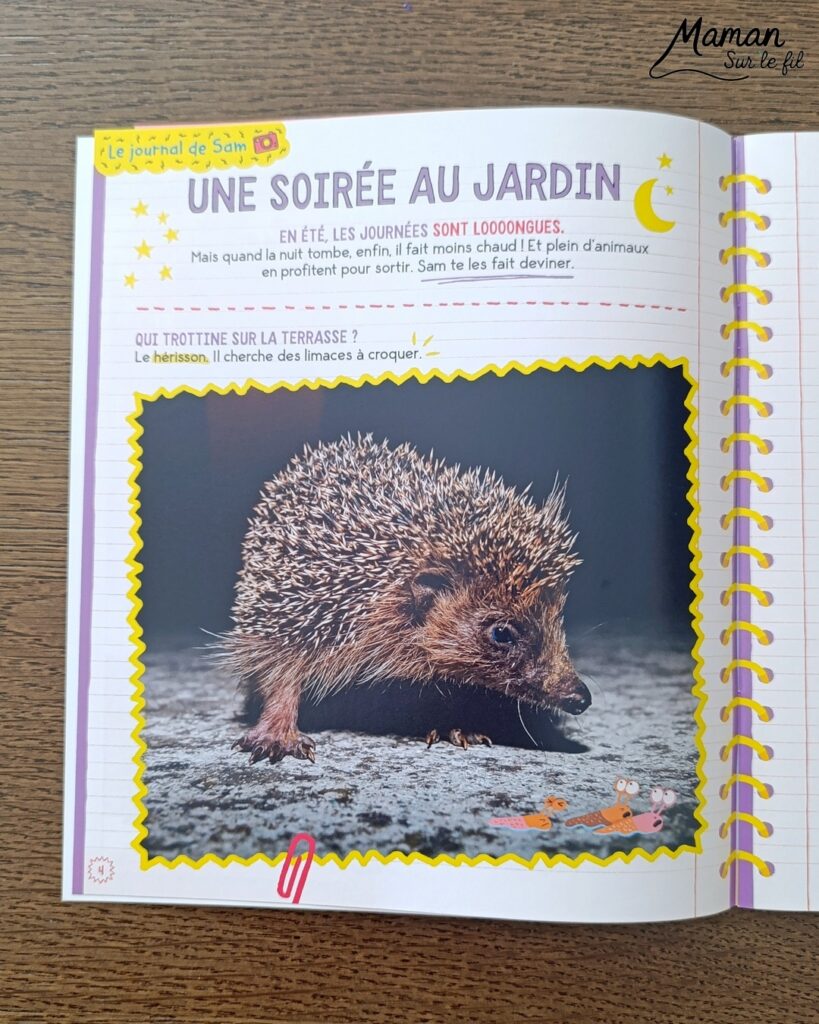 Fabriquer de jolies libellules avec fils chenille et récup' + présentation des nouveaux magazines Salamandre : activité créative, peinture et manuelle et lecture enfants - Les libellules sont fabriquées avec des fils chenille, des bâtonnets de glace en bois, des boutons, des gommettes Yeux et des mini grelots pour le côté musical - Recyclage, surcylage, sensoriel - Avis sur les nouveaux magazines Petite Salamandre sur les libellules, Salamandre Junior sur les moustiques, et Revue Salamandre sur les tiques - Magazines parfaits pour 4 à 99 ans, enfants et adultes, amoureux de la nature et des animaux - Maternelle, Primaire et collège - 3 versions pour tout âge - Complet et qualitatif - Reportages, belles photos, BD, jeux, activités manuelles... - Bricolage et décoration DIY et facile - Bricolage Fait maison, décoration - Thème Animaux et nature, insectes et petites bêtes, fête de la musique, printemps, été - Bricolage sympa et facile - Code promo pour un numéro gratuit - Arts visuels Maternelle et cycle 2 - Maternelle et élémentaire - Créativité et lecture jeunesse - Cycle 1 ou 2 - tutoriel photos - mslf
