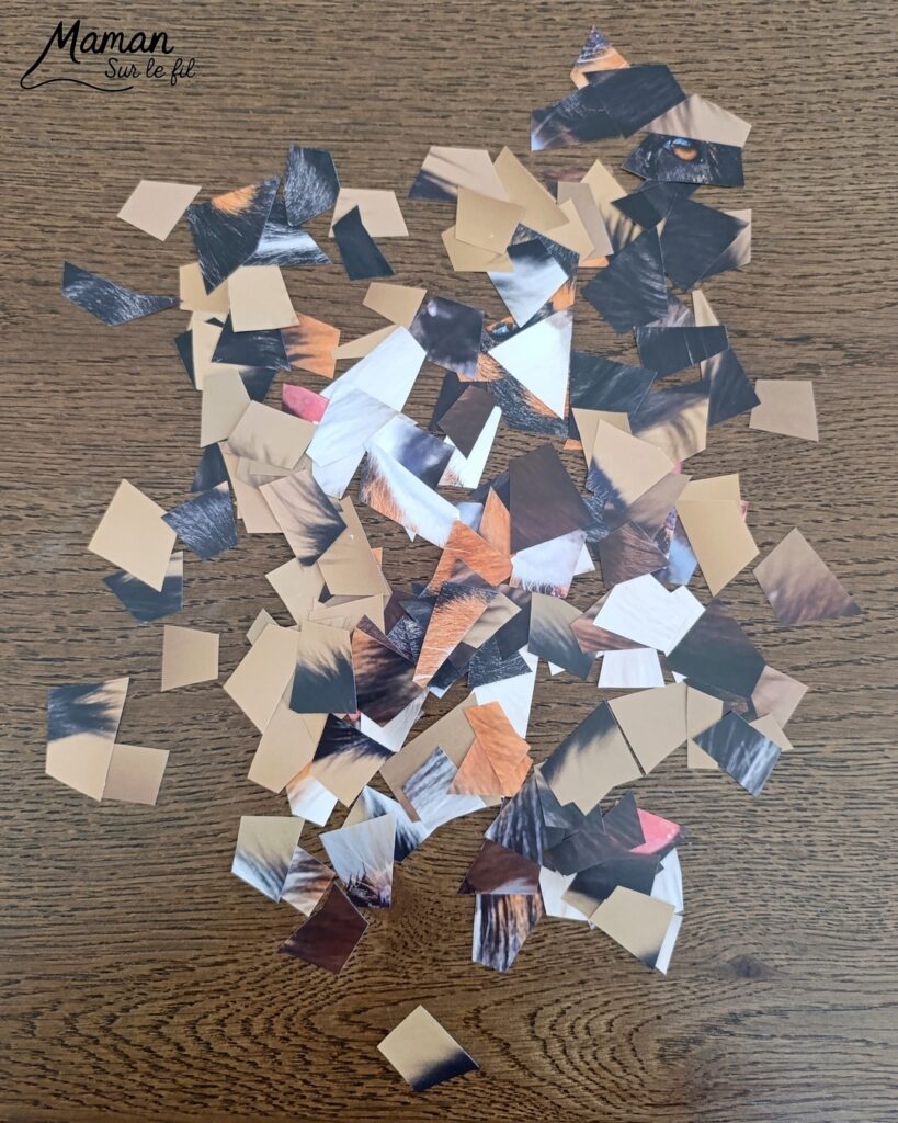Créer des guitares en mosaïque de vieux calendriers : activité créative, récup' et manuelle enfants - Recyclage, surcyclage d'anciens calendriers, magazines ou prospectus publicitaires... - Découpage, collage pour effet mosaïque - Photos de chiens - Décoration DIY Fait maison - Arts visuels et Bricolage facile - Thème fête de la musique, instruments de musique, été - Bricolage et décoration sympa et facile - Arts visuels maternelle et élémentaire - Cycles 1 et 2 - Créativité - tutoriel photos - mslf
