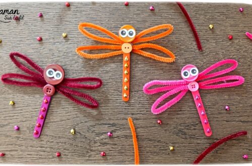 Fabriquer de jolies libellules avec fils chenille et récup' + présentation des nouveaux magazines Salamandre : activité créative, peinture et manuelle et lecture enfants - Les libellules sont fabriquées avec des fils chenille, des bâtonnets de glace en bois, des boutons, des gommettes Yeux et des mini grelots pour le côté musical - Recyclage, surcylage, sensoriel - Avis sur les nouveaux magazines Petite Salamandre sur les libellules, Salamandre Junior sur les moustiques, et Revue Salamandre sur les tiques - Magazines parfaits pour 4 à 99 ans, enfants et adultes, amoureux de la nature et des animaux - Maternelle, Primaire et collège - 3 versions pour tout âge - Complet et qualitatif - Reportages, belles photos, BD, jeux, activités manuelles... - Bricolage et décoration DIY et facile - Bricolage Fait maison, décoration - Thème Animaux et nature, insectes et petites bêtes, fête de la musique, printemps, été - Bricolage sympa et facile - Code promo pour un numéro gratuit - Arts visuels Maternelle et cycle 2 - Maternelle et élémentaire - Créativité et lecture jeunesse - Cycle 1 ou 2 - tutoriel photos - mslf
