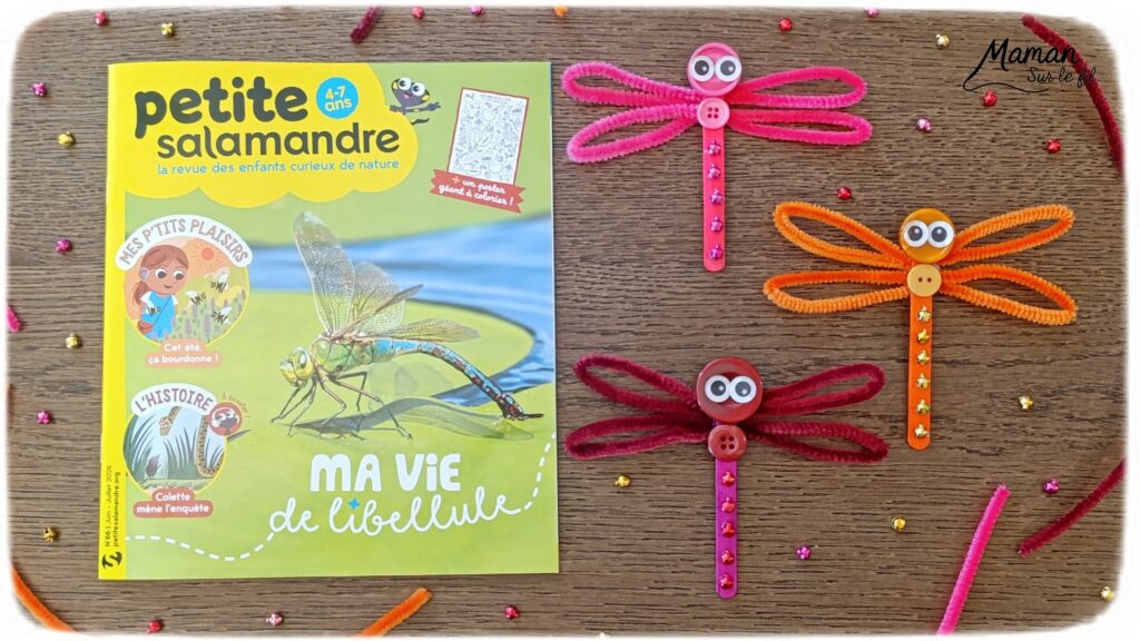 Fabriquer de jolies libellules avec fils chenille et récup' + présentation des nouveaux magazines Salamandre : activité créative, peinture et manuelle et lecture enfants - Les libellules sont fabriquées avec des fils chenille, des bâtonnets de glace en bois, des boutons, des gommettes Yeux et des mini grelots pour le côté musical - Recyclage, surcylage, sensoriel - Avis sur les nouveaux magazines Petite Salamandre sur les libellules, Salamandre Junior sur les moustiques, et Revue Salamandre sur les tiques - Magazines parfaits pour 4 à 99 ans, enfants et adultes, amoureux de la nature et des animaux - Maternelle, Primaire et collège - 3 versions pour tout âge - Complet et qualitatif - Reportages, belles photos, BD, jeux, activités manuelles... - Bricolage et décoration DIY et facile - Bricolage Fait maison, décoration - Thème Animaux et nature, insectes et petites bêtes, fête de la musique, printemps, été - Bricolage sympa et facile - Code promo pour un numéro gratuit - Arts visuels Maternelle et cycle 2 - Maternelle et élémentaire - Créativité et lecture jeunesse - Cycle 1 ou 2 - tutoriel photos - mslf