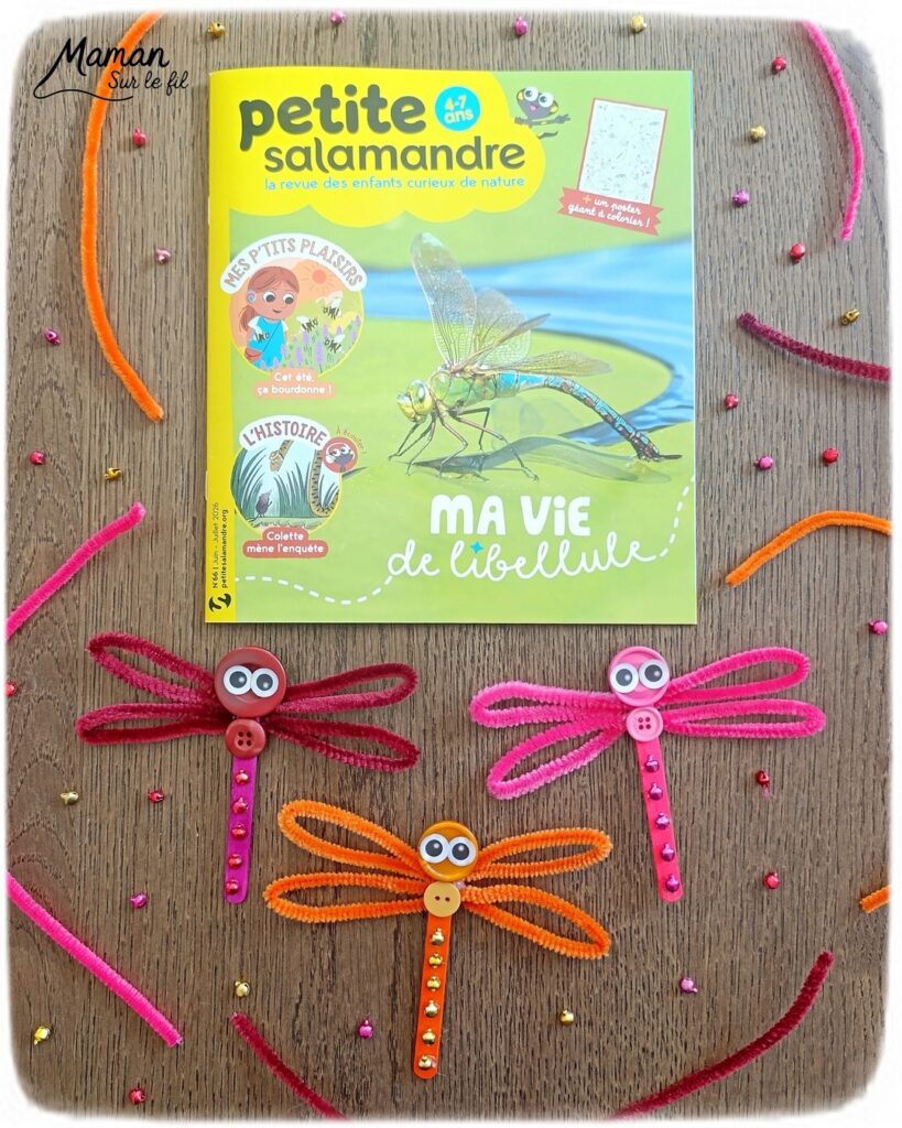 Fabriquer de jolies libellules avec fils chenille et récup' + présentation des nouveaux magazines Salamandre : activité créative, peinture et manuelle et lecture enfants - Les libellules sont fabriquées avec des fils chenille, des bâtonnets de glace en bois, des boutons, des gommettes Yeux et des mini grelots pour le côté musical - Recyclage, surcylage, sensoriel - Avis sur les nouveaux magazines Petite Salamandre sur les libellules, Salamandre Junior sur les moustiques, et Revue Salamandre sur les tiques - Magazines parfaits pour 4 à 99 ans, enfants et adultes, amoureux de la nature et des animaux - Maternelle, Primaire et collège - 3 versions pour tout âge - Complet et qualitatif - Reportages, belles photos, BD, jeux, activités manuelles... - Bricolage et décoration DIY et facile - Bricolage Fait maison, décoration - Thème Animaux et nature, insectes et petites bêtes, fête de la musique, printemps, été - Bricolage sympa et facile - Code promo pour un numéro gratuit - Arts visuels Maternelle et cycle 2 - Maternelle et élémentaire - Créativité et lecture jeunesse - Cycle 1 ou 2 - tutoriel photos - mslf