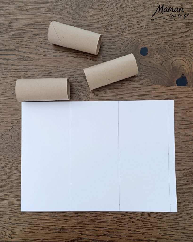 Fabriquer des pieuvres mignonnes avec des rouleaux en carton : activité créative, peinture, récup' et manuelle enfants - Recyclage, surcyclage de rouleaux de PQ, de papier toilettes en carton - Peinture aux tampons ronds - Découpage, collage, enroulage de papier - Gommettes yeiux et petit noeud pour la décoration - Décoration DIY Fait maison - Arts visuels et Bricolage facile - Thème animaux marins, mer, océans, plage, été - Bricolage et décoration sympa et facile - Arts visuels maternelle et élémentaire, adultes - Cycles 1 et 2 - Créativité - tutoriel photos - mslf