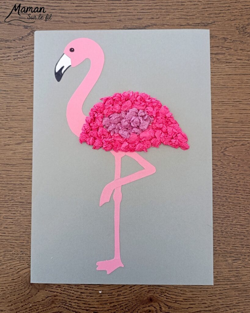 Créer un flamant rose avec des boules de papier de soie froissé : activité créative, récup' et manuelle enfants - Recyclage, surcyclage de papier de soie ou de papier crépon -Déchirage et froissage en boules - Découpage et Collage de papier -Motricité fine - Fond avec des cercles découpés à la perforatrice - Arts visuels et Bricolage facile - Thème animaux, oiseaux, été, vacances - Bricolage et décoration sympa et facile - Arts visuels maternelle et élémentaire - Cycles 1 et 2 - Créativité - tutoriel photos - mslf