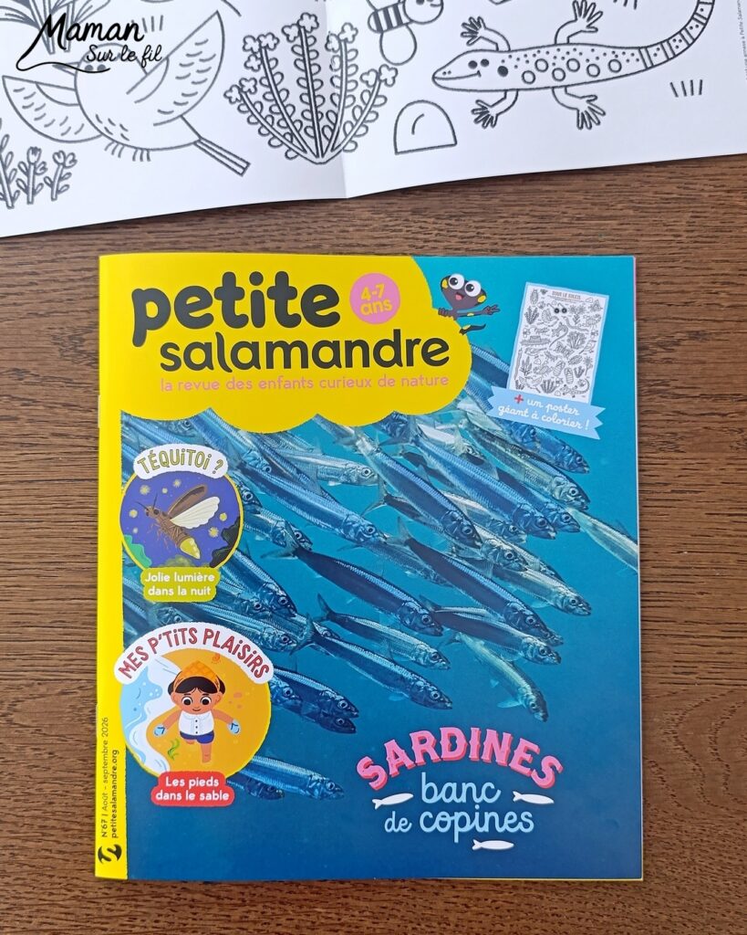 Fabriquer une boite de sardines fleuries en récup' de carton et papier + présentation des nouveaux magazines Salamandre : activité créative et manuelle et lecture enfants - Les sardines sont découpées dans du papier à motifs fleuris - La boite est fabriquée avec du recyclage de carton et du papier gris - Recyclage, surcyclage, découpage, collage - Avis sur les nouveaux magazines Petite Salamandre sur les sardines, Salamandre Junior sur les tortues marines caouanne, et Revue Salamandre sur les cachalots - Magazines parfaits pour 4 à 99 ans, enfants et adultes, amoureux de la nature et des animaux - Maternelle, Primaire et collège - 3 versions pour tout âge - Complet et qualitatif - Reportages, belles photos, BD, jeux, activités manuelles... - Bricolage et décoration DIY et facile - Bricolage Fait maison, décoration - Thème Animaux et nature, animaux marins, poissons, océans, mers, été - Bricolage sympa et facile - Code promo pour un numéro gratuit - Arts visuels Maternelle et cycle 2 - Maternelle et élémentaire - Créativité et lecture jeunesse - Cycle 1 ou 2 - tutoriel photos - mslf