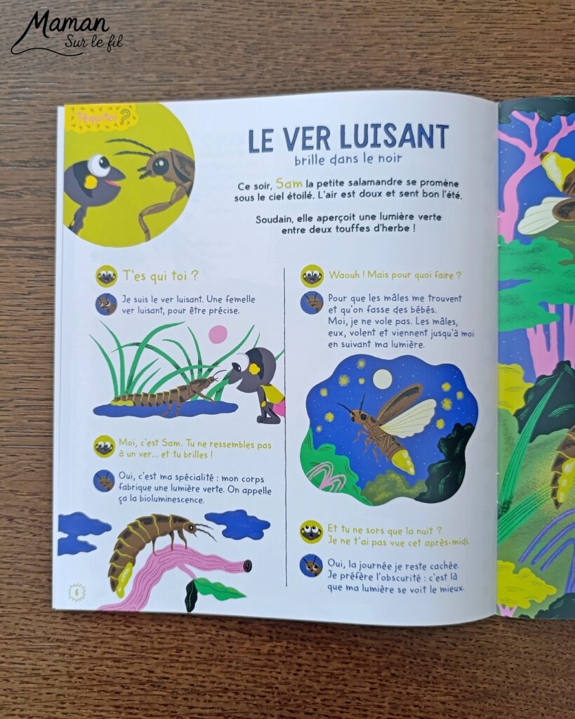 Fabriquer une boite de sardines fleuries en récup' de carton et papier + présentation des nouveaux magazines Salamandre : activité créative et manuelle et lecture enfants - Les sardines sont découpées dans du papier à motifs fleuris - La boite est fabriquée avec du recyclage de carton et du papier gris - Recyclage, surcyclage, découpage, collage - Avis sur les nouveaux magazines Petite Salamandre sur les sardines, Salamandre Junior sur les tortues marines caouanne, et Revue Salamandre sur les cachalots - Magazines parfaits pour 4 à 99 ans, enfants et adultes, amoureux de la nature et des animaux - Maternelle, Primaire et collège - 3 versions pour tout âge - Complet et qualitatif - Reportages, belles photos, BD, jeux, activités manuelles... - Bricolage et décoration DIY et facile - Bricolage Fait maison, décoration - Thème Animaux et nature, animaux marins, poissons, océans, mers, été - Bricolage sympa et facile - Code promo pour un numéro gratuit - Arts visuels Maternelle et cycle 2 - Maternelle et élémentaire - Créativité et lecture jeunesse - Cycle 1 ou 2 - tutoriel photos - mslf