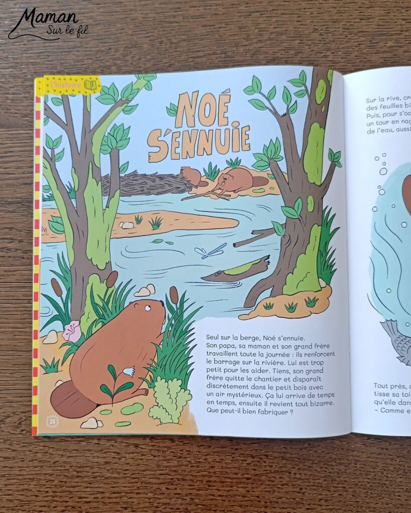 Fabriquer une boite de sardines fleuries en récup' de carton et papier + présentation des nouveaux magazines Salamandre : activité créative et manuelle et lecture enfants - Les sardines sont découpées dans du papier à motifs fleuris - La boite est fabriquée avec du recyclage de carton et du papier gris - Recyclage, surcyclage, découpage, collage - Avis sur les nouveaux magazines Petite Salamandre sur les sardines, Salamandre Junior sur les tortues marines caouanne, et Revue Salamandre sur les cachalots - Magazines parfaits pour 4 à 99 ans, enfants et adultes, amoureux de la nature et des animaux - Maternelle, Primaire et collège - 3 versions pour tout âge - Complet et qualitatif - Reportages, belles photos, BD, jeux, activités manuelles... - Bricolage et décoration DIY et facile - Bricolage Fait maison, décoration - Thème Animaux et nature, animaux marins, poissons, océans, mers, été - Bricolage sympa et facile - Code promo pour un numéro gratuit - Arts visuels Maternelle et cycle 2 - Maternelle et élémentaire - Créativité et lecture jeunesse - Cycle 1 ou 2 - tutoriel photos - mslf