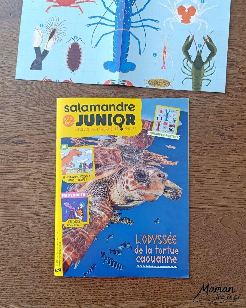Fabriquer une boite de sardines fleuries en récup' de carton et papier + présentation des nouveaux magazines Salamandre : activité créative et manuelle et lecture enfants - Les sardines sont découpées dans du papier à motifs fleuris - La boite est fabriquée avec du recyclage de carton et du papier gris - Recyclage, surcyclage, découpage, collage - Avis sur les nouveaux magazines Petite Salamandre sur les sardines, Salamandre Junior sur les tortues marines caouanne, et Revue Salamandre sur les cachalots - Magazines parfaits pour 4 à 99 ans, enfants et adultes, amoureux de la nature et des animaux - Maternelle, Primaire et collège - 3 versions pour tout âge - Complet et qualitatif - Reportages, belles photos, BD, jeux, activités manuelles... - Bricolage et décoration DIY et facile - Bricolage Fait maison, décoration - Thème Animaux et nature, animaux marins, poissons, océans, mers, été - Bricolage sympa et facile - Code promo pour un numéro gratuit - Arts visuels Maternelle et cycle 2 - Maternelle et élémentaire - Créativité et lecture jeunesse - Cycle 1 ou 2 - tutoriel photos - mslf