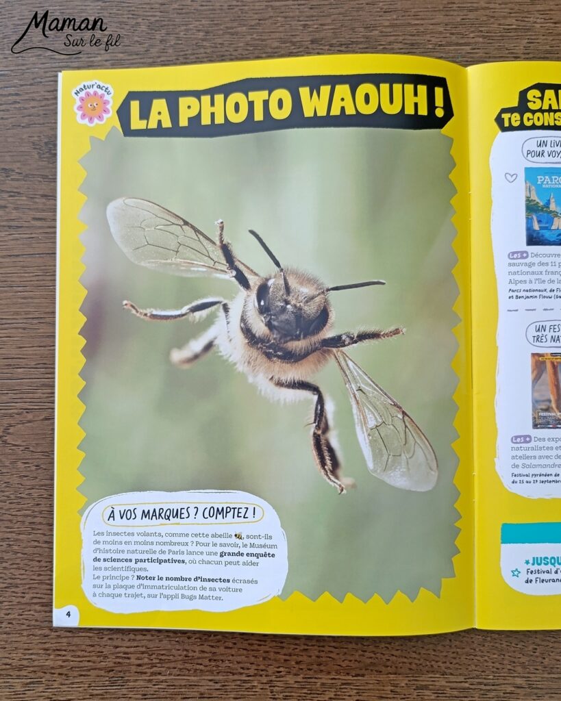 Fabriquer une boite de sardines fleuries en récup' de carton et papier + présentation des nouveaux magazines Salamandre : activité créative et manuelle et lecture enfants - Les sardines sont découpées dans du papier à motifs fleuris - La boite est fabriquée avec du recyclage de carton et du papier gris - Recyclage, surcyclage, découpage, collage - Avis sur les nouveaux magazines Petite Salamandre sur les sardines, Salamandre Junior sur les tortues marines caouanne, et Revue Salamandre sur les cachalots - Magazines parfaits pour 4 à 99 ans, enfants et adultes, amoureux de la nature et des animaux - Maternelle, Primaire et collège - 3 versions pour tout âge - Complet et qualitatif - Reportages, belles photos, BD, jeux, activités manuelles... - Bricolage et décoration DIY et facile - Bricolage Fait maison, décoration - Thème Animaux et nature, animaux marins, poissons, océans, mers, été - Bricolage sympa et facile - Code promo pour un numéro gratuit - Arts visuels Maternelle et cycle 2 - Maternelle et élémentaire - Créativité et lecture jeunesse - Cycle 1 ou 2 - tutoriel photos - mslf